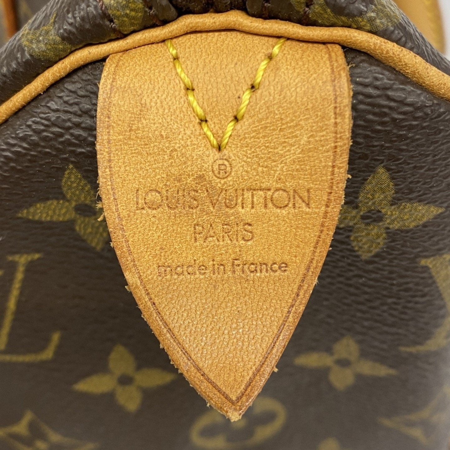 Speedy 25 Monogram Canvas Handbag