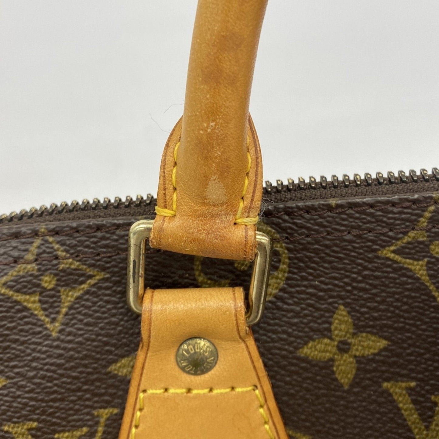 Speedy 25 Monogram Canvas Handbag