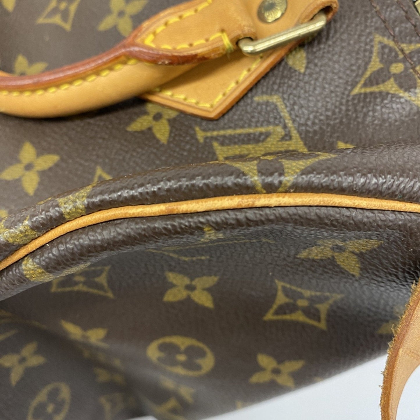 Speedy 25 Monogram Canvas Handbag