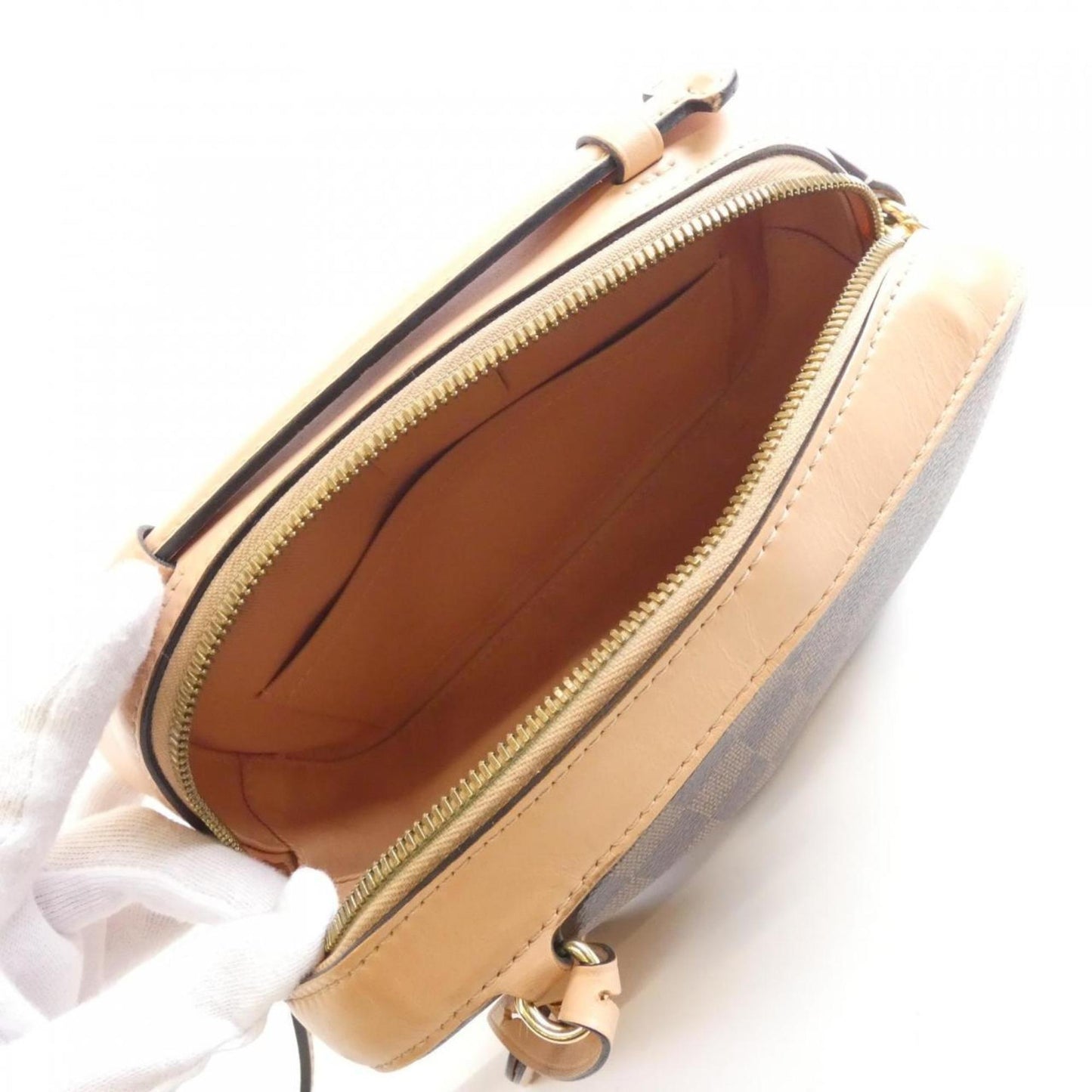 LV Pochette Crossbody Bag