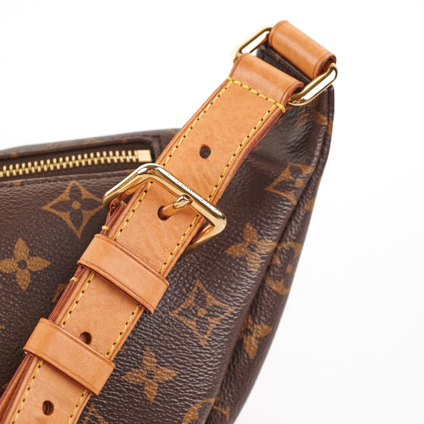 Louis Vuitton Bumbag Monogram
