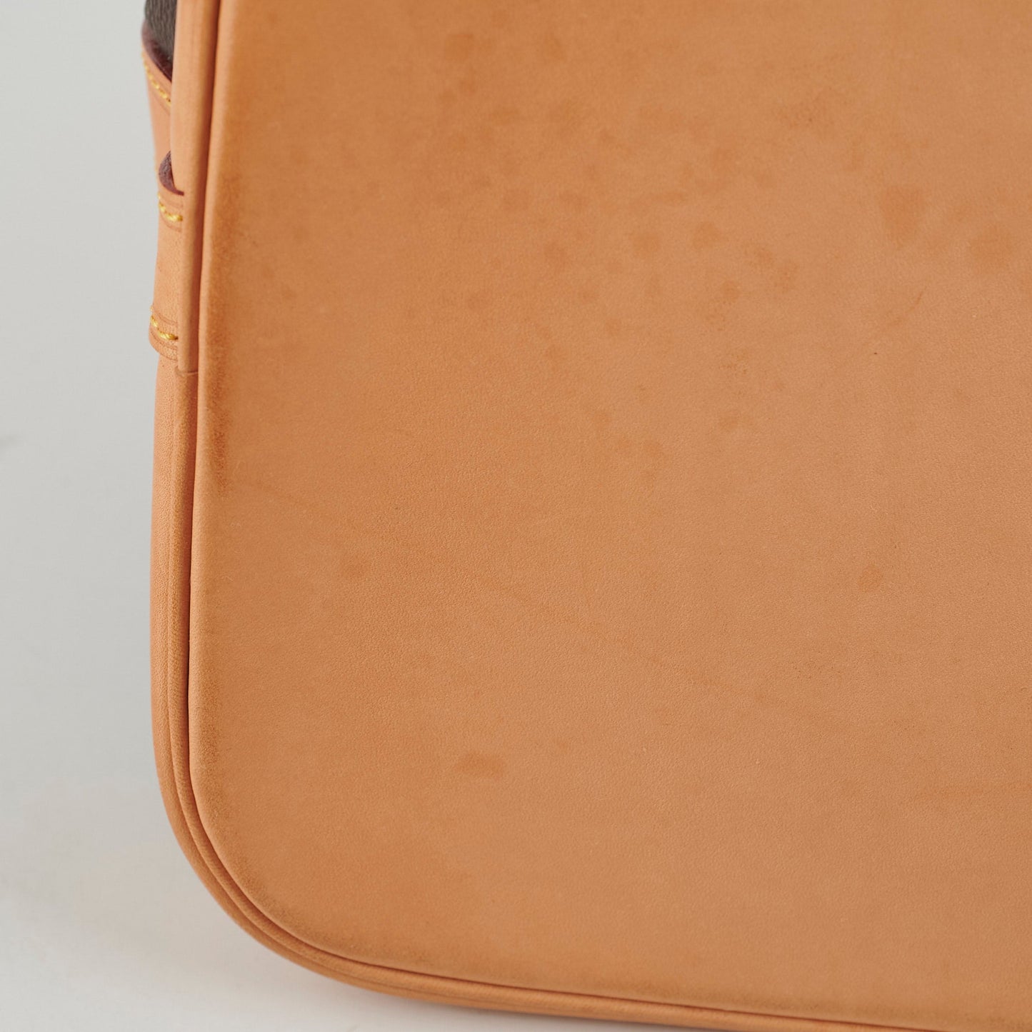 Louis Vuitton Petite Neo Noe Monogram