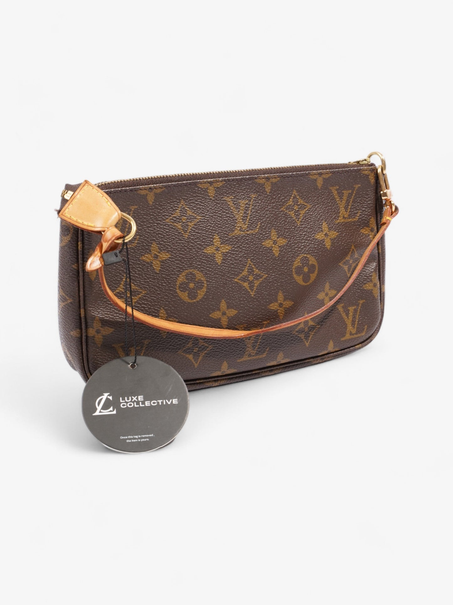 Louis Vuitton Pochette Accessoires Monogram Coated Canvas