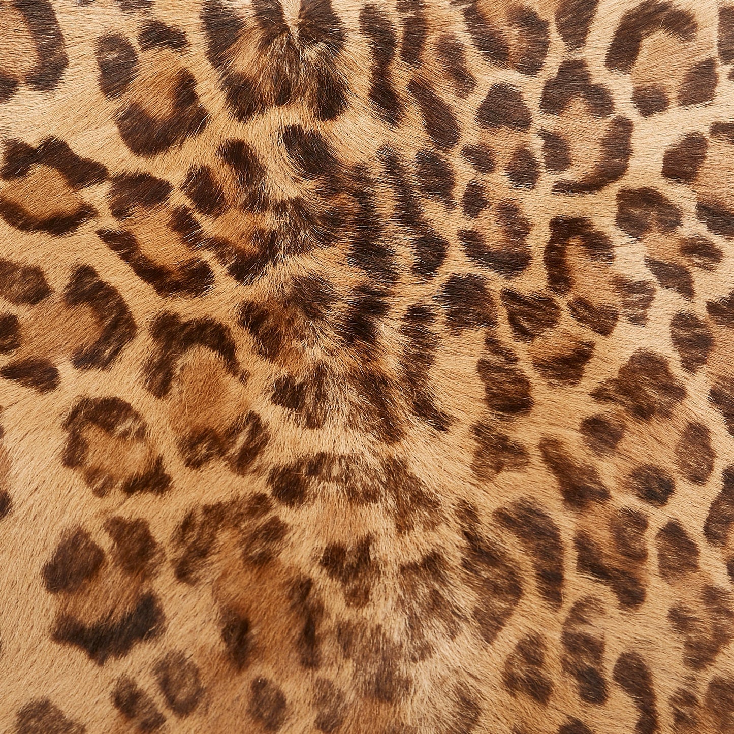 Brown Loewe Pony Hair Leopard Print Tote Bag