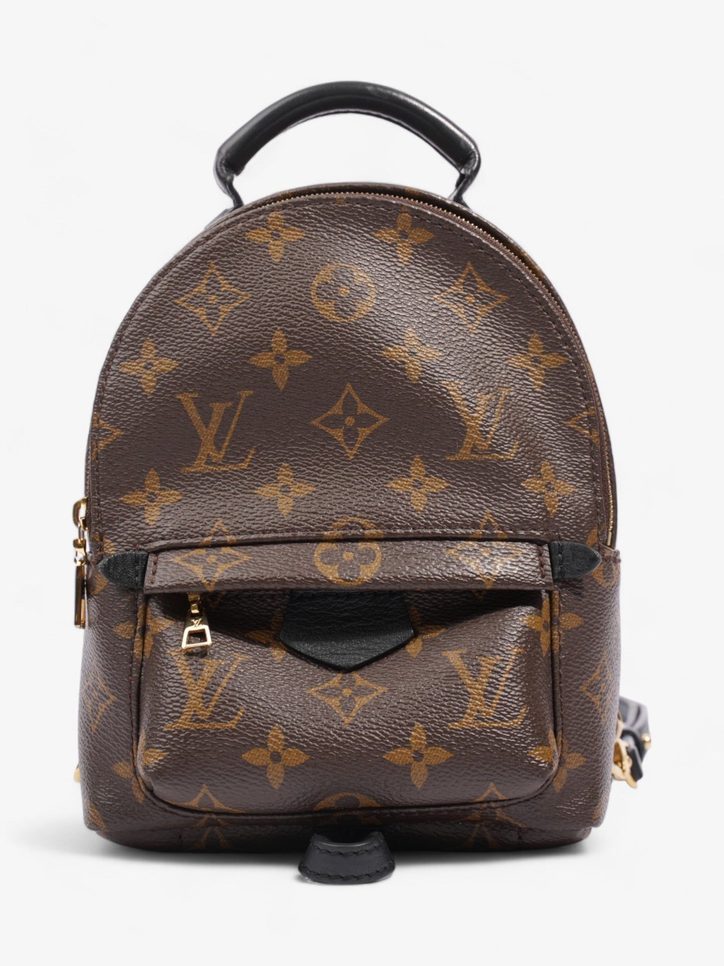 Louis Vuitton Palm Springs Monogram Coated Canvas