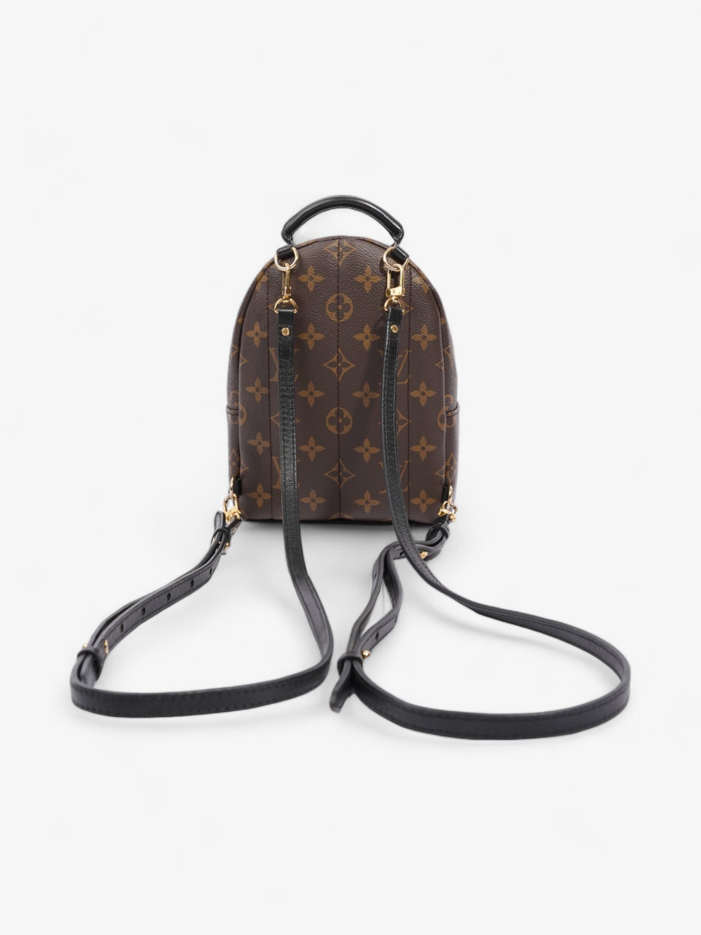 Louis Vuitton Palm Springs Monogram Coated Canvas