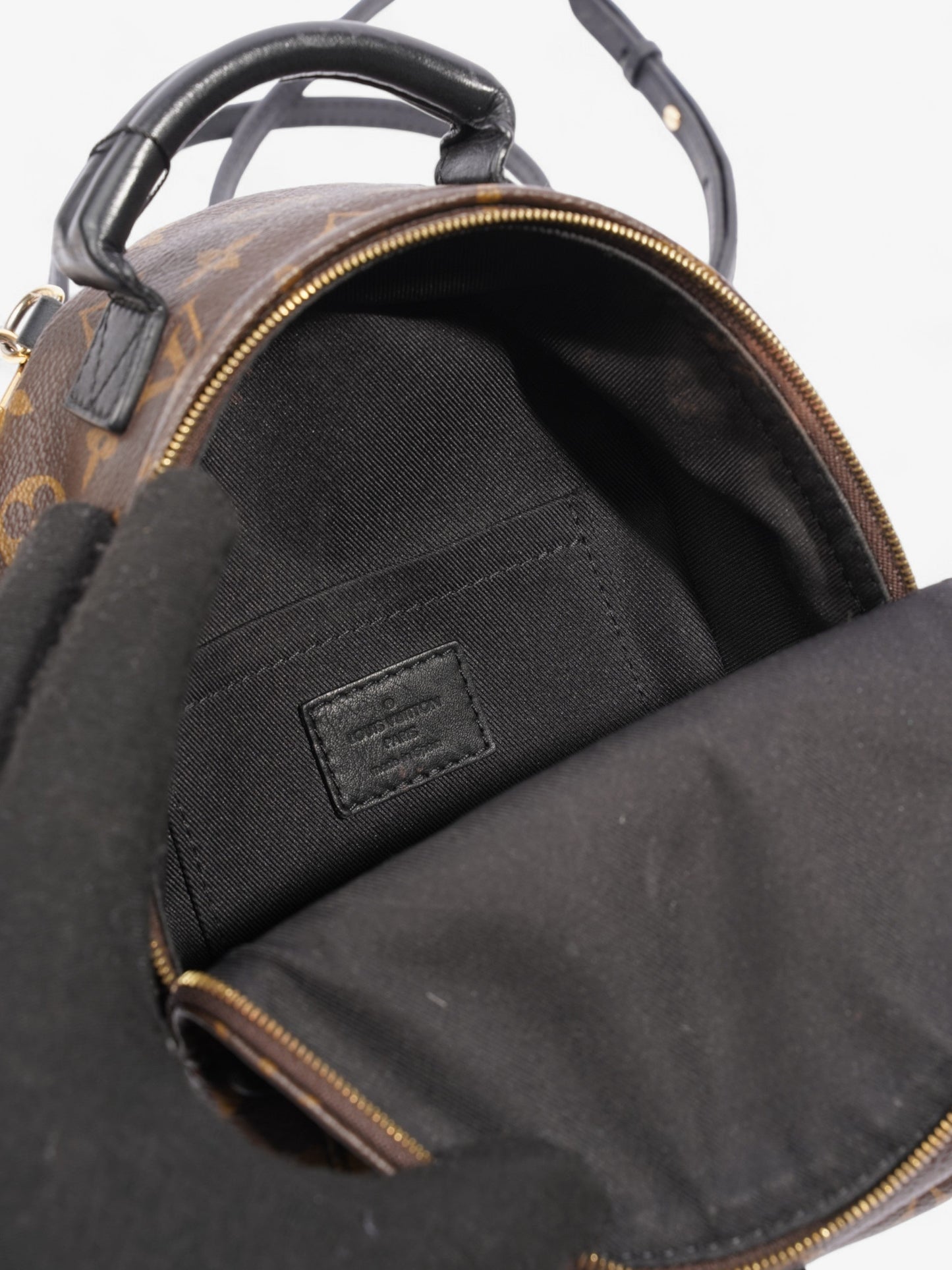 Louis Vuitton Palm Springs Monogram Coated Canvas