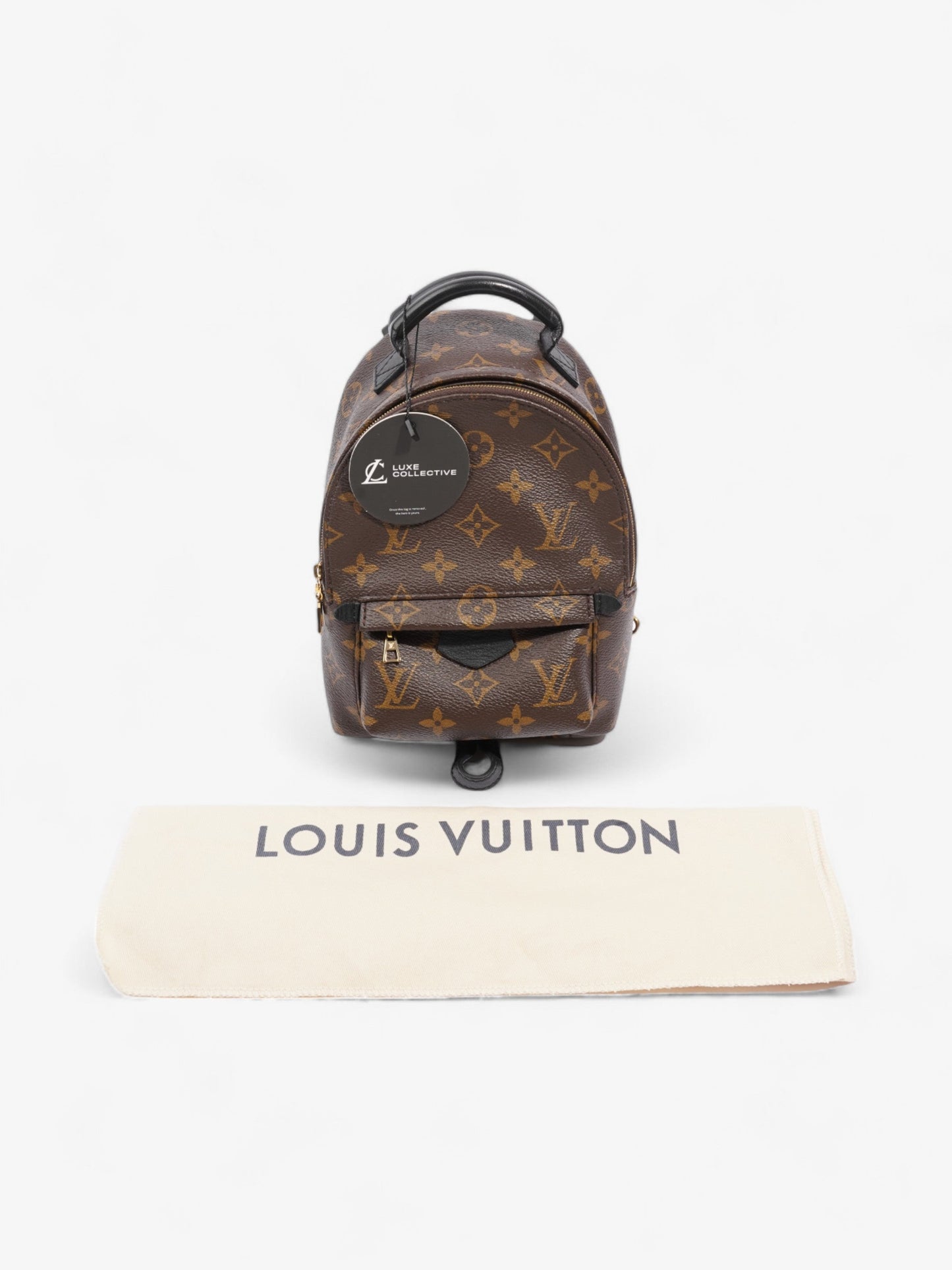 Louis Vuitton Palm Springs Monogram Coated Canvas