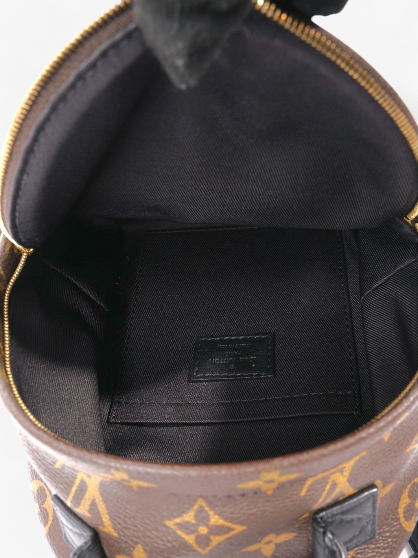 Louis Vuitton Palm Springs Monogram / Black Coated Canvas Mini