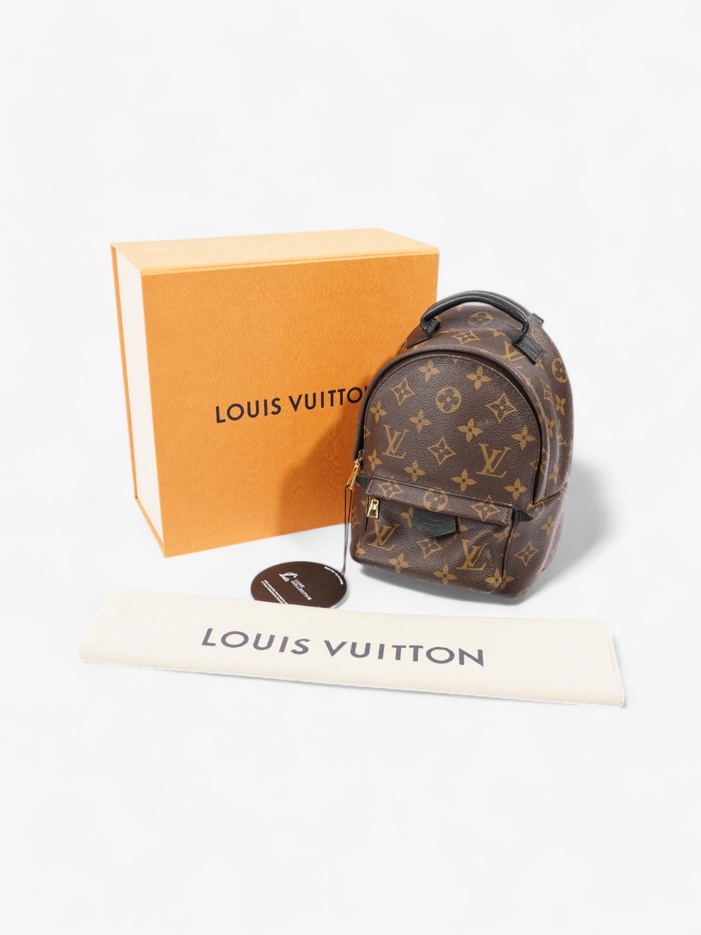 Louis Vuitton Palm Springs Monogram / Black Coated Canvas Mini