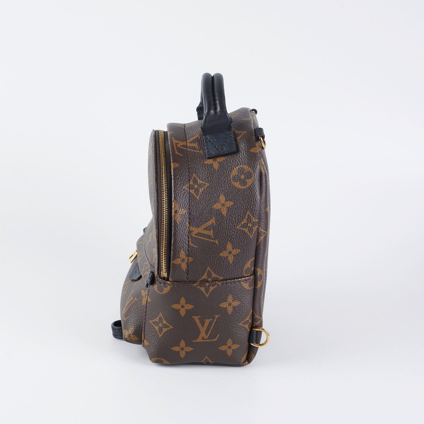Louis Vuitton Palm Spring Mini Monogram (New Zipper Style)