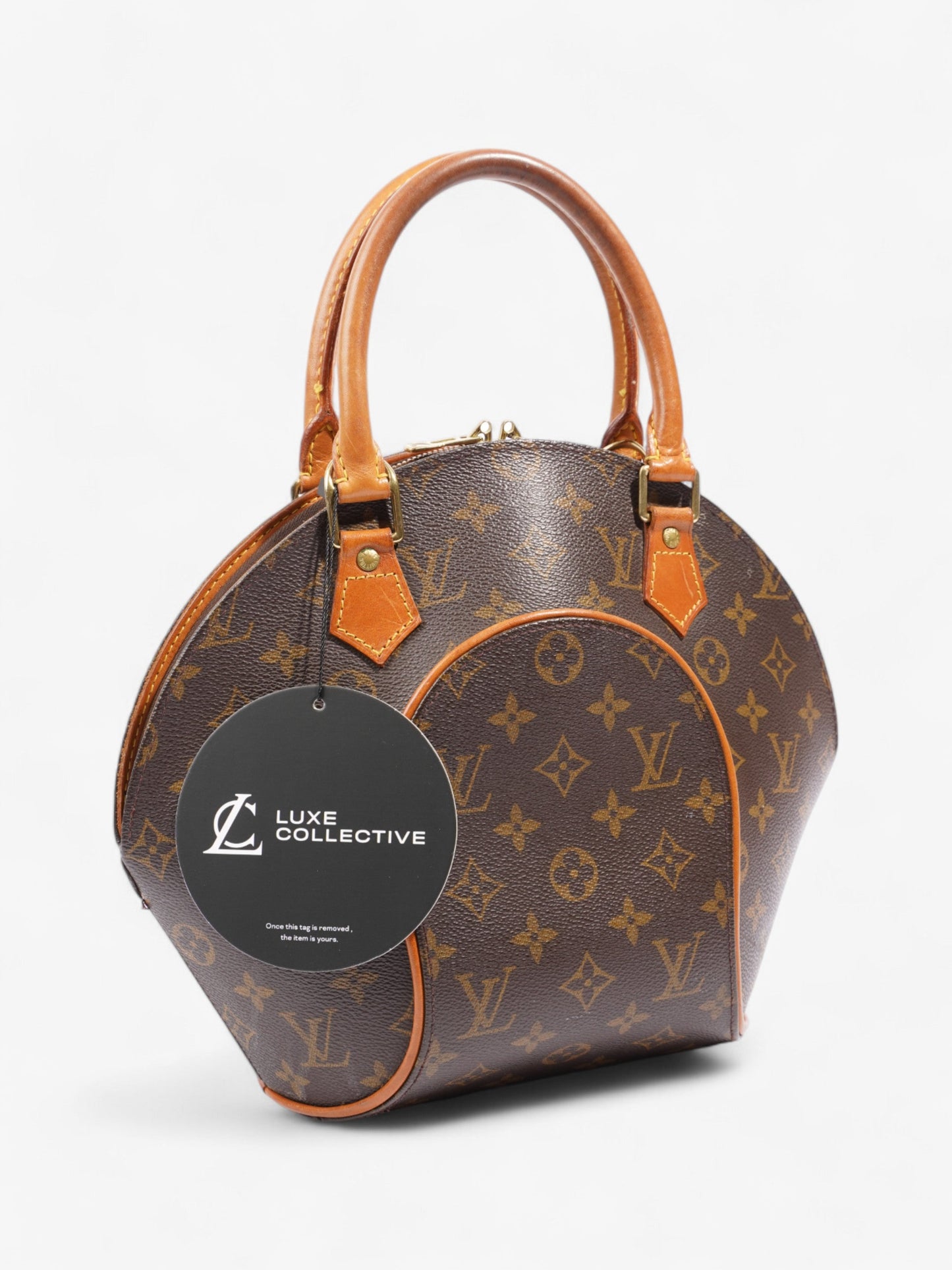 Louis Vuitton Ellipse Monogram Coated Canvas PM
