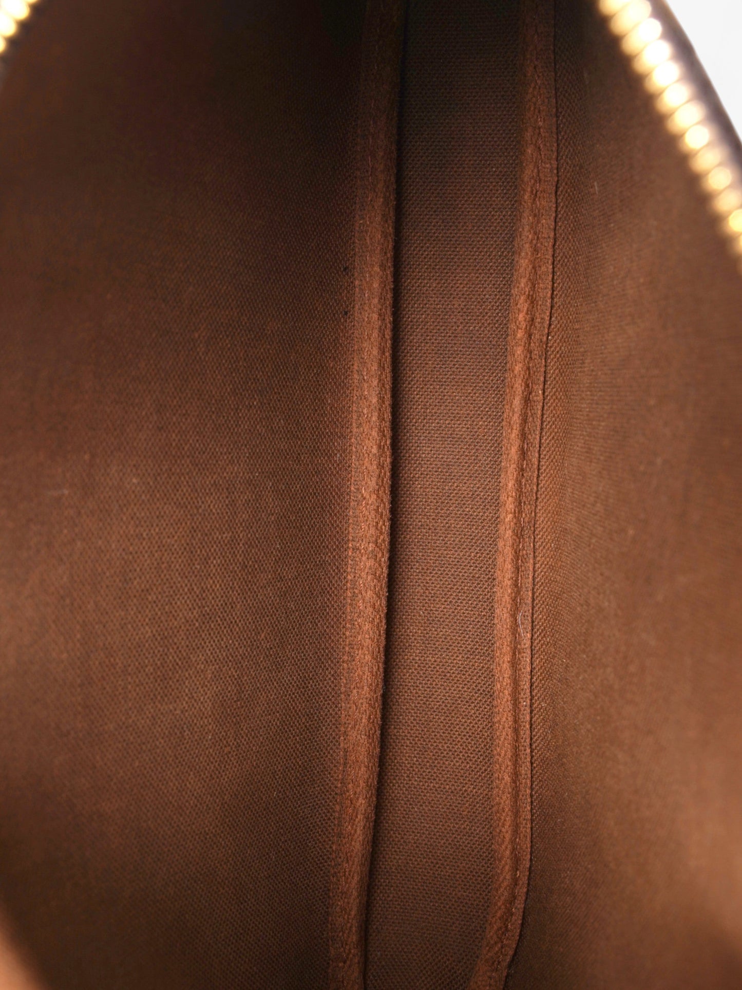 Louis Vuitton Pochette Accessoires Monogram Coated Canvas