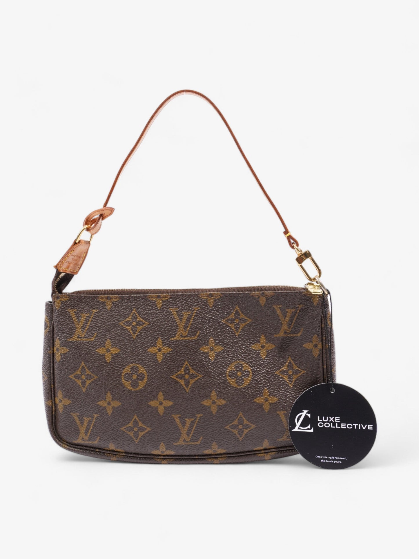 Louis Vuitton Pochette Accessoires Monogram Coated Canvas