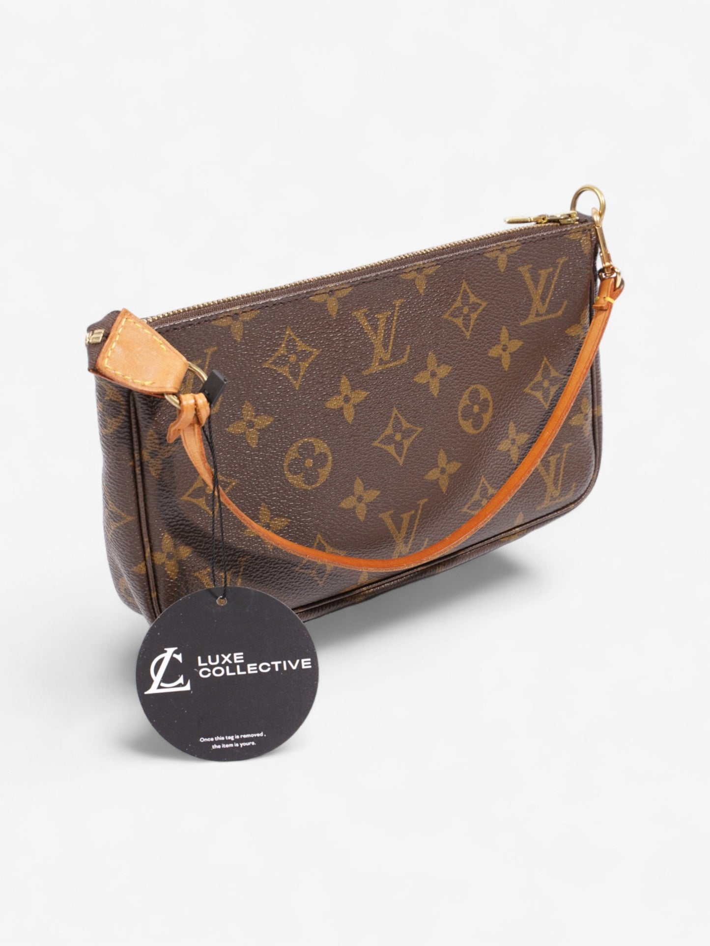 Louis Vuitton Pochette Accessoires Monogram Coated Canvas