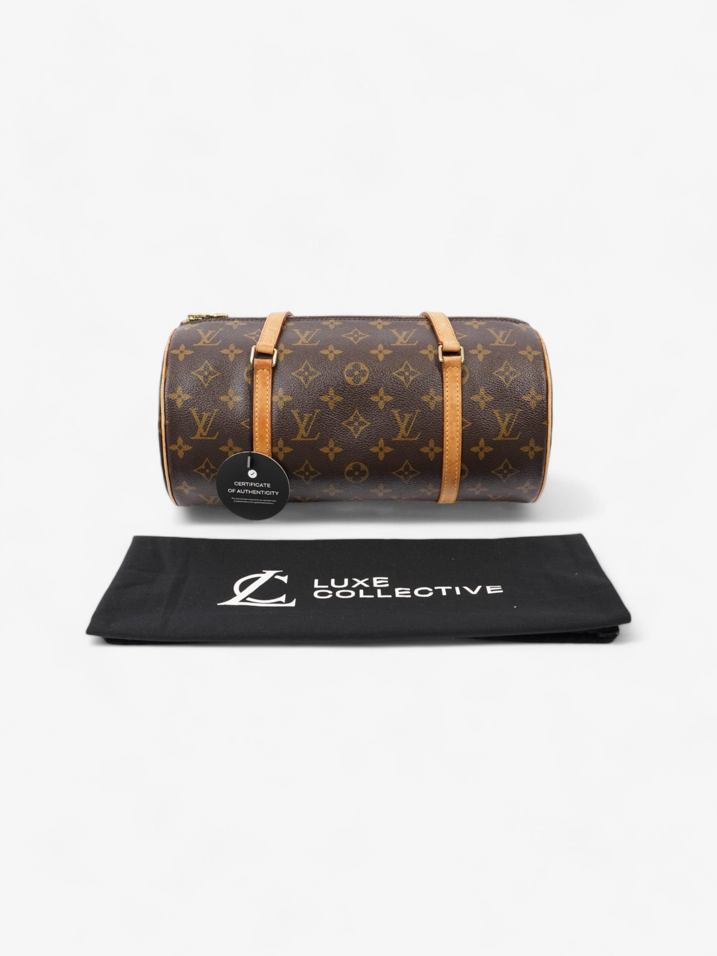 Louis Vuitton Papillon  Monogram Coated Canvas 30