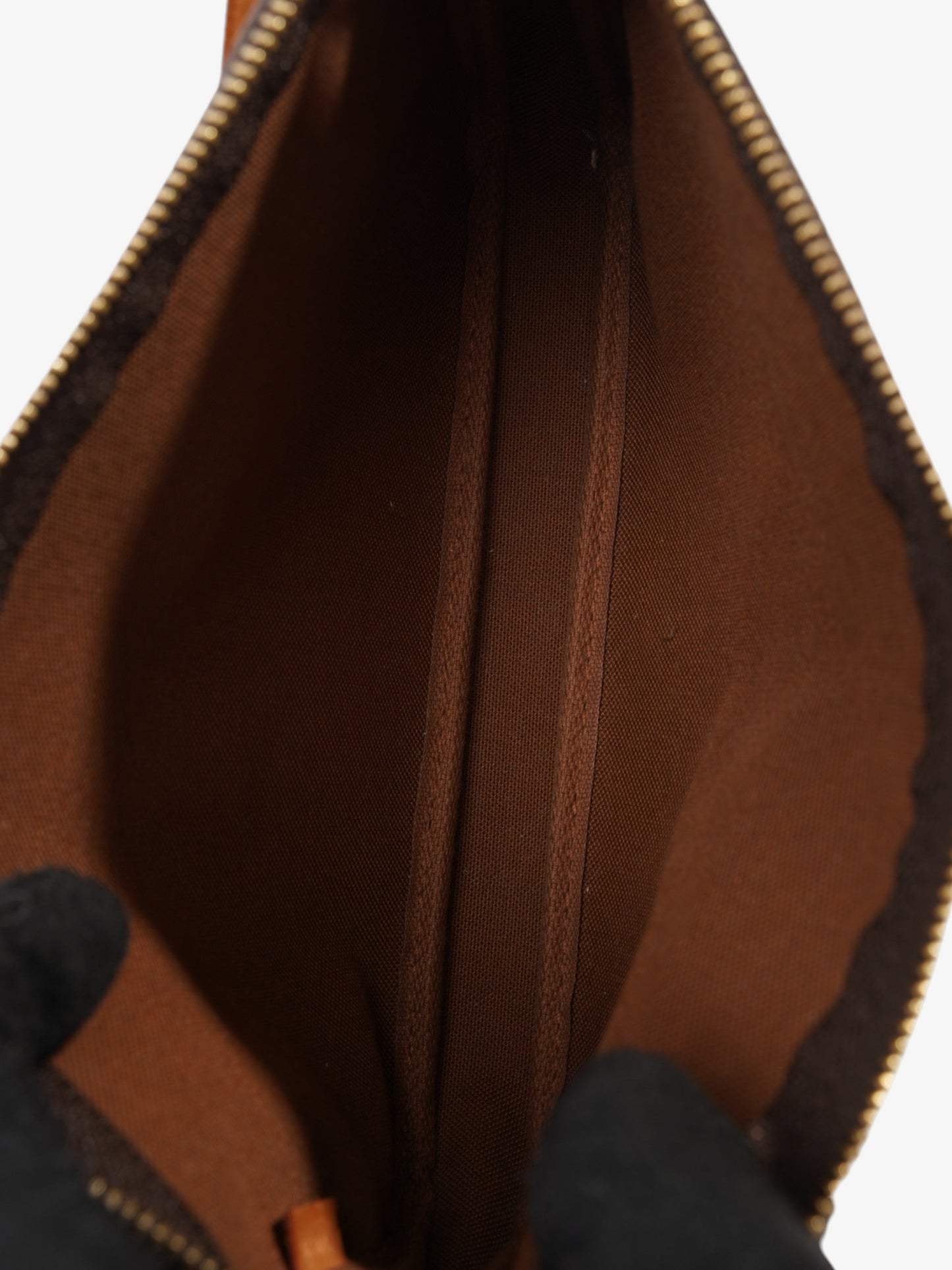 Louis Vuitton Pochette Accessoires Monogram Coated Canvas