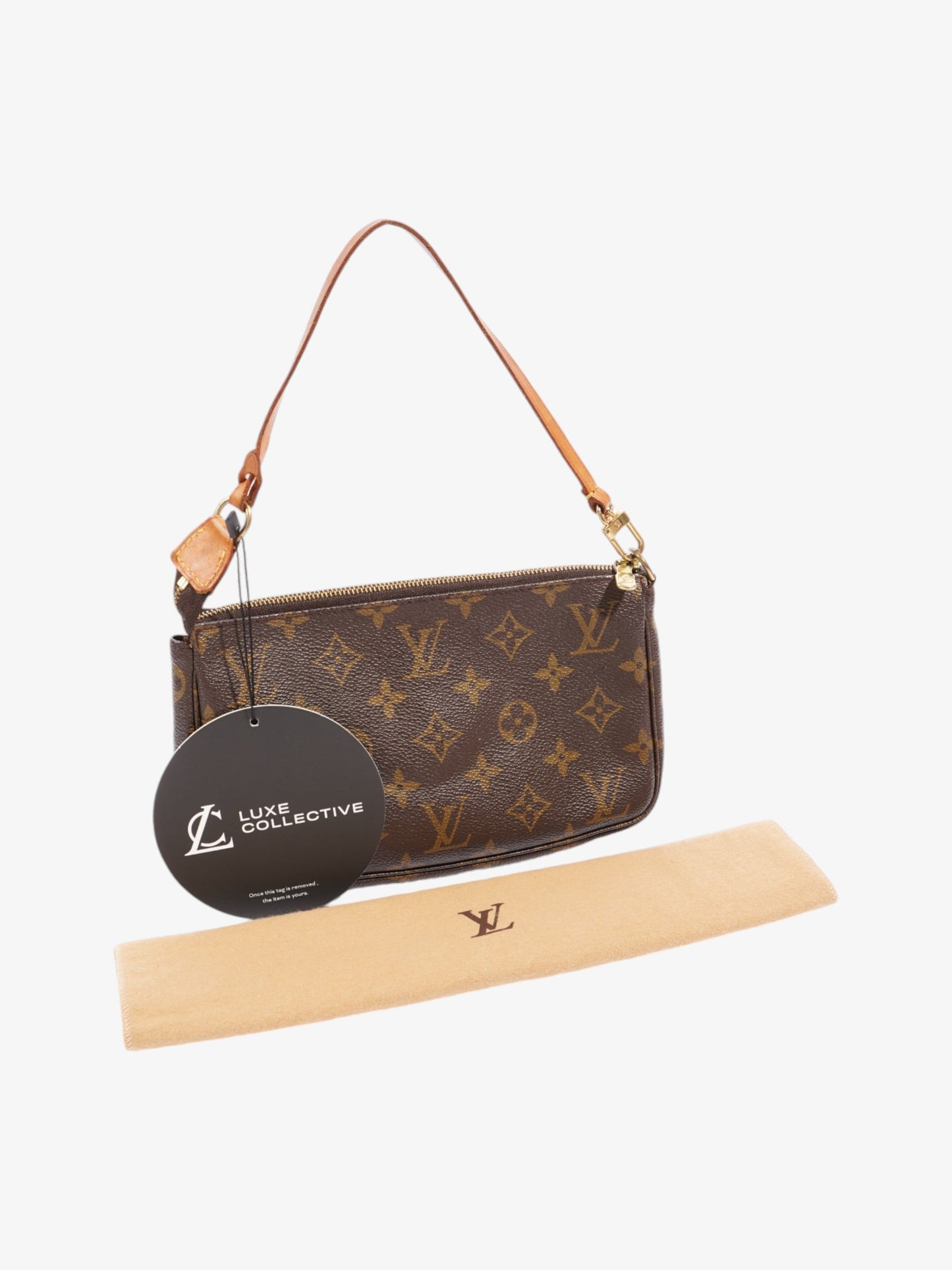 Louis Vuitton Pochette Accessoires Monogram Coated Canvas