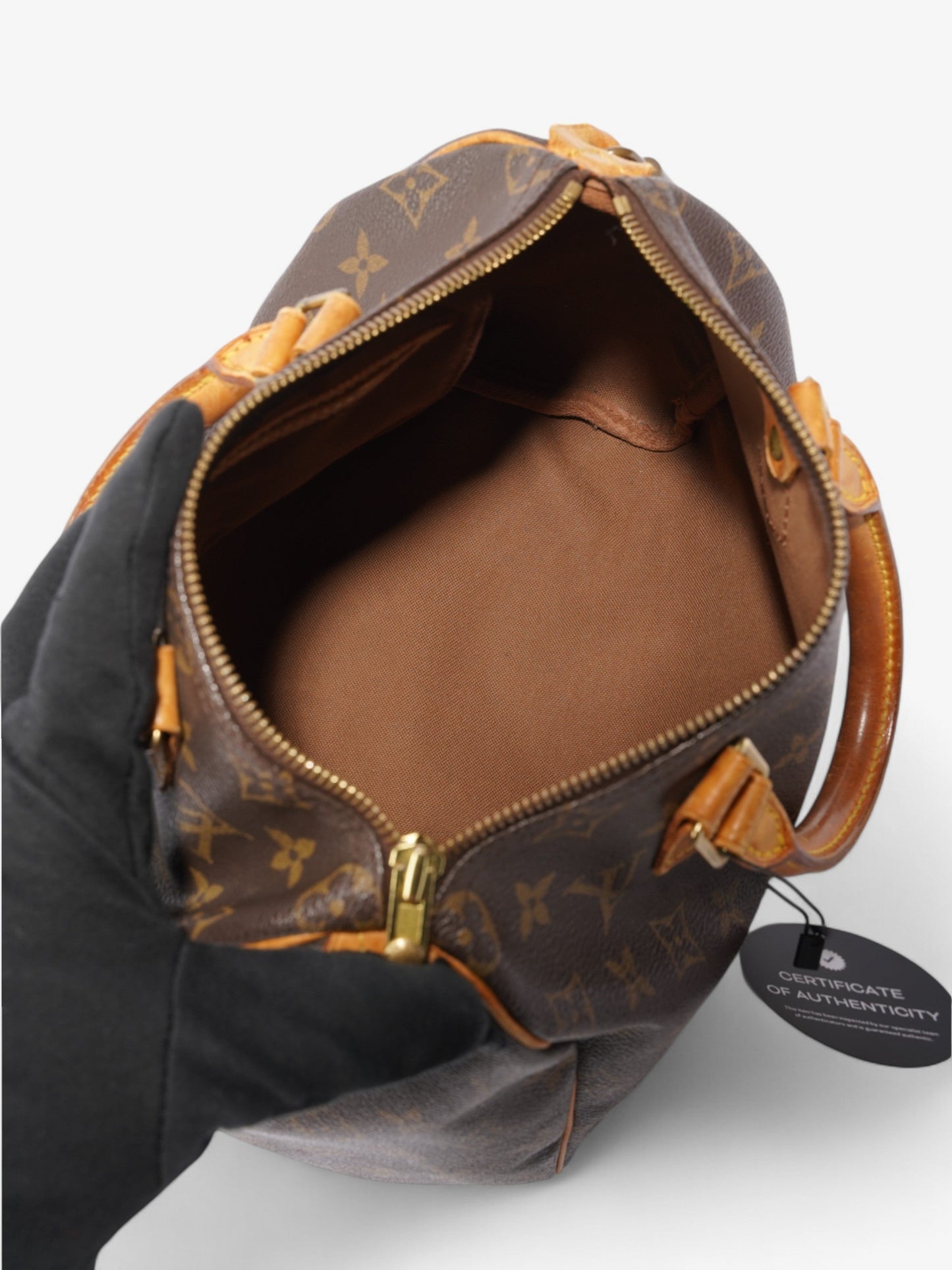 Louis Vuitton Speedy Monogram Coated Canvas 25