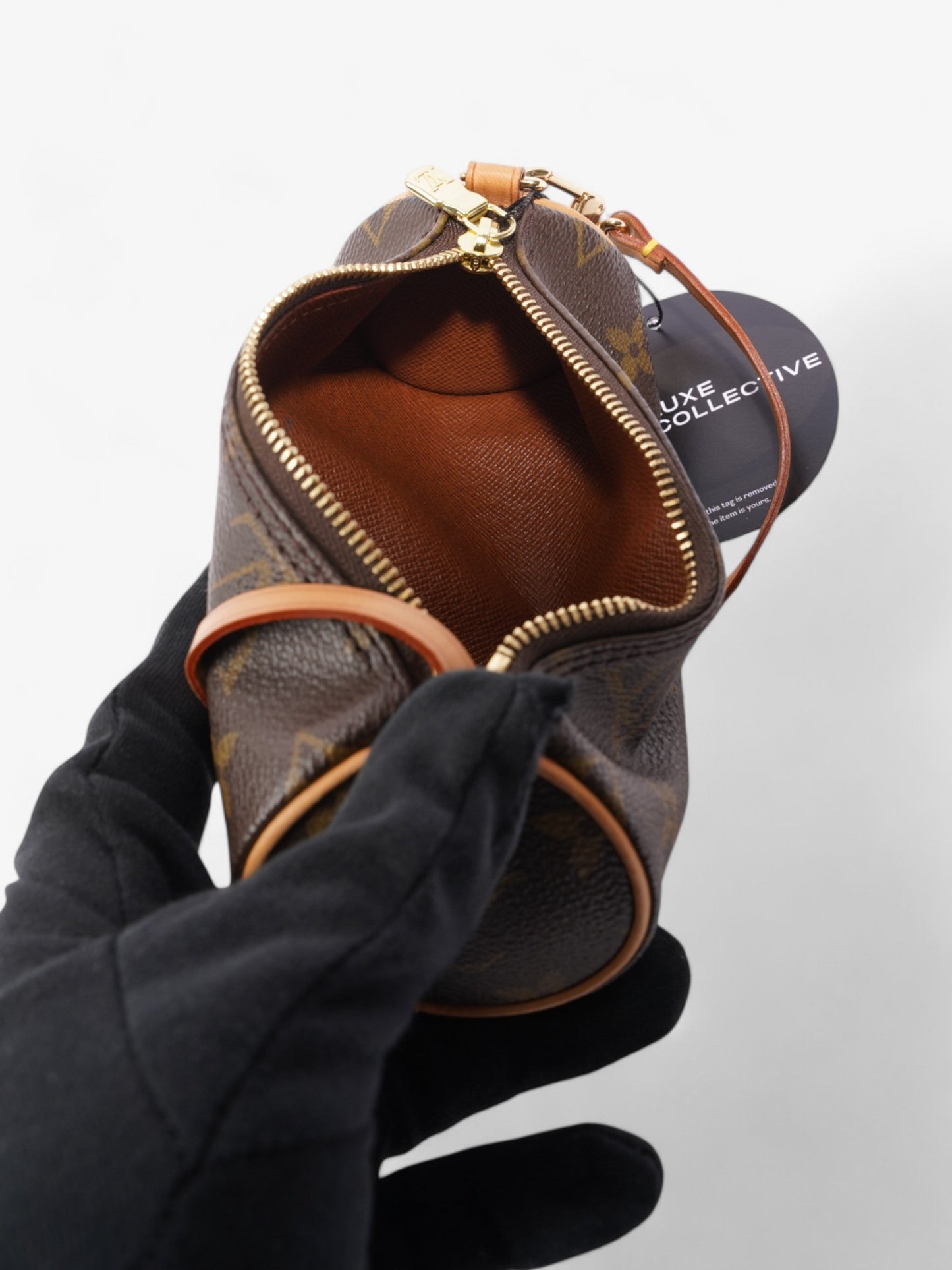 Louis Vuitton Papillon  Monogram Coated Canvas Mini