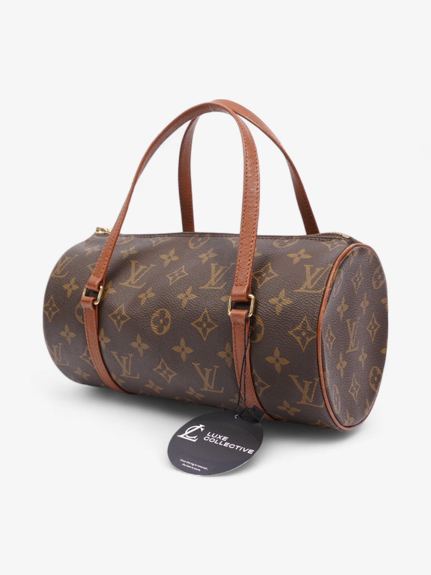 Louis Vuitton Papillon Monogram Coated Canvas 26