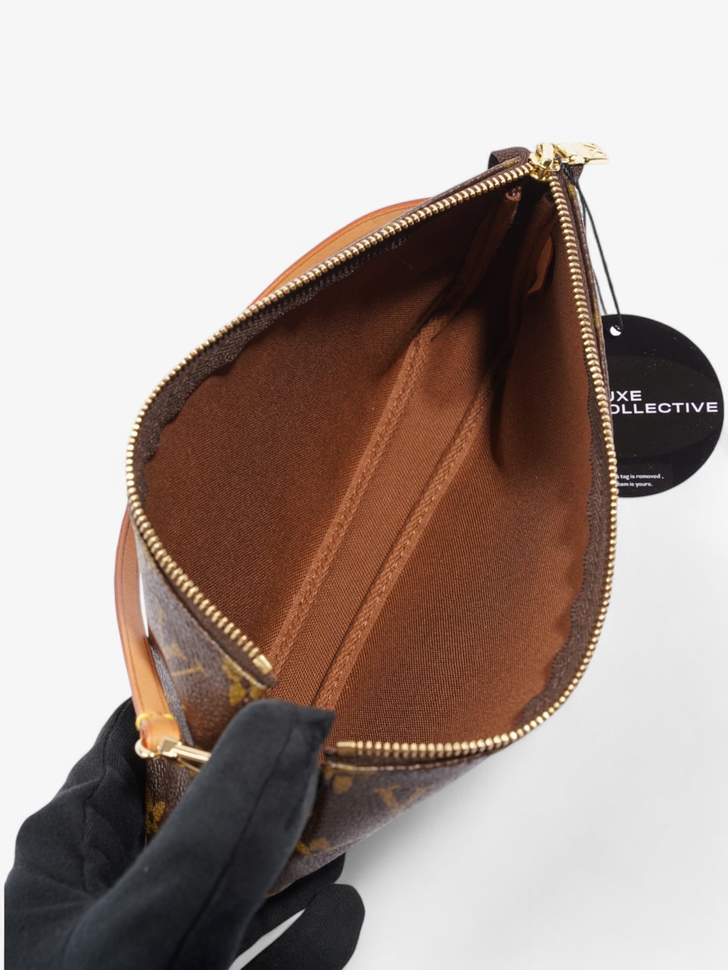 Louis Vuitton Pochette Accessoires Monogram Coated Canvas