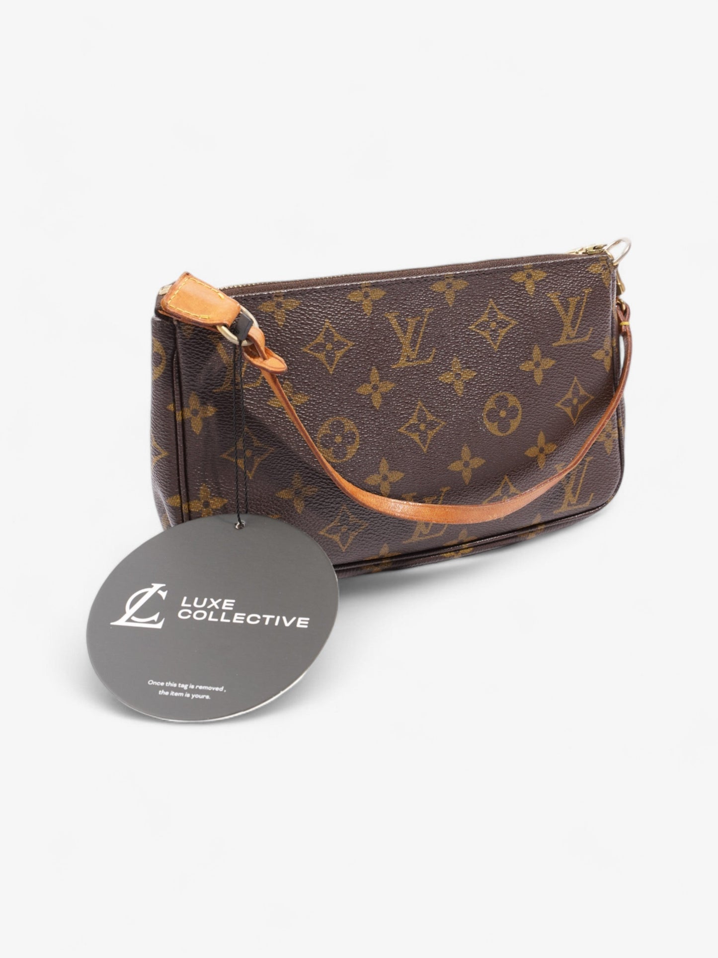 Louis Vuitton Pochette Accessoires Monogram Coated Canvas