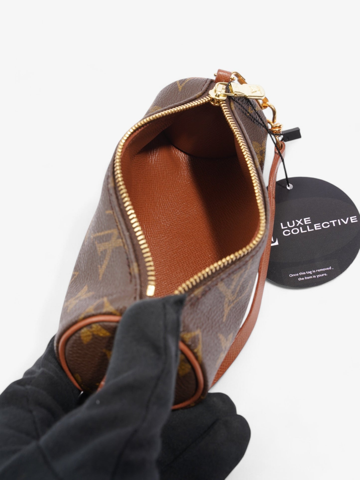 Louis Vuitton Papillon Monogram Coated Canvas Mini