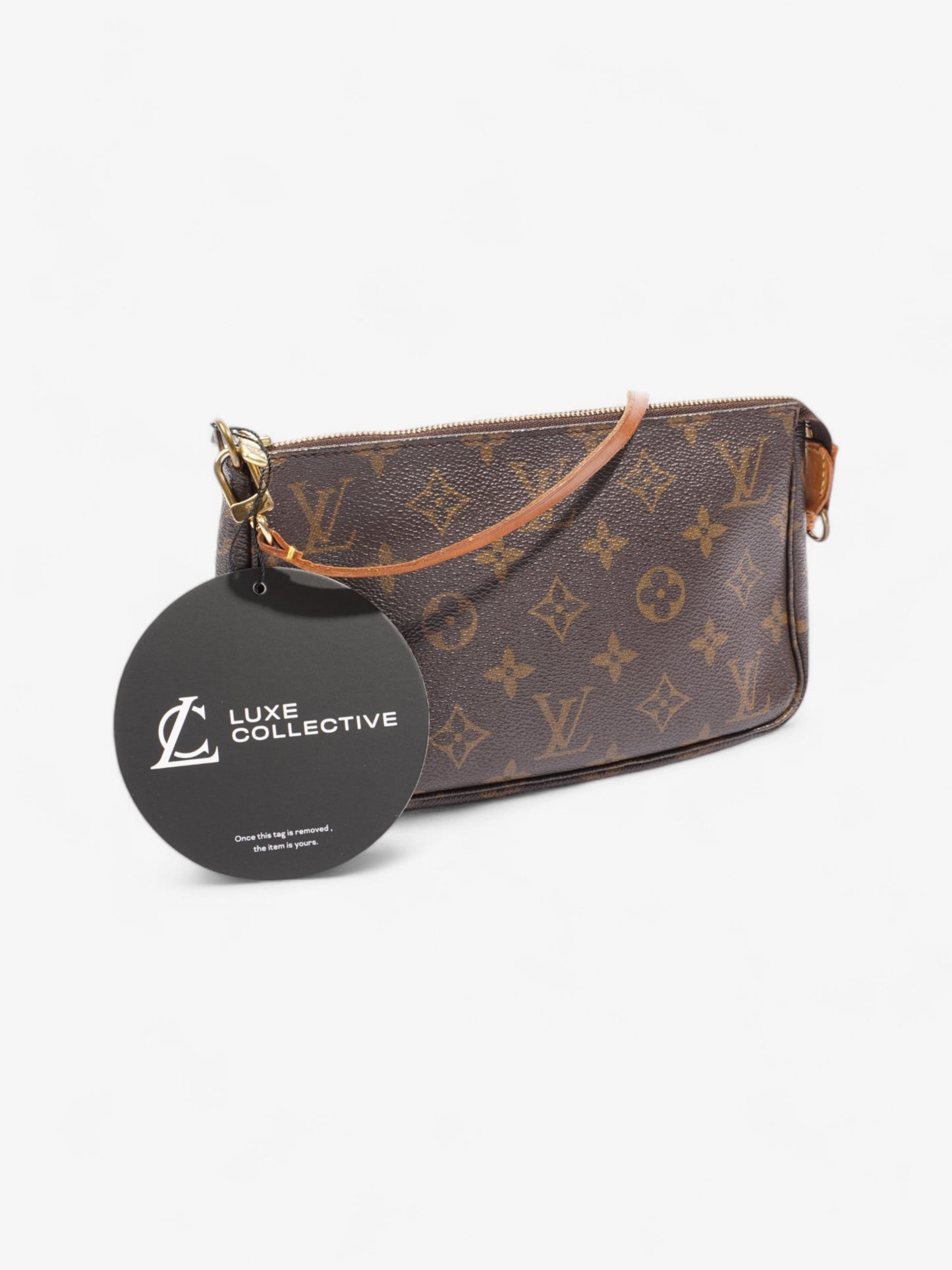 Louis Vuitton Pochette Accessoires Monogram Coated Canvas
