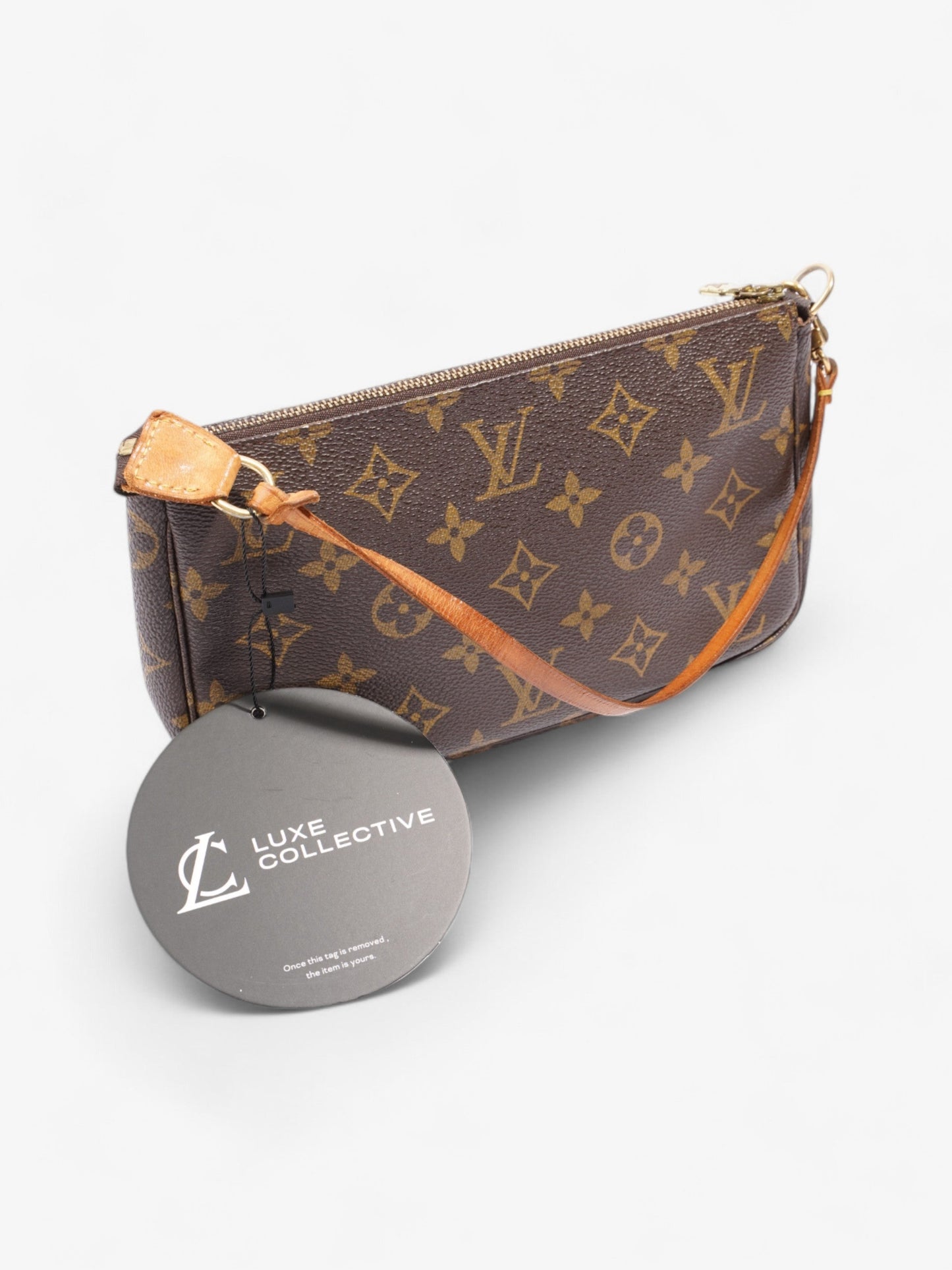 Louis Vuitton Pochette Accessoires Monogram Coated Canvas