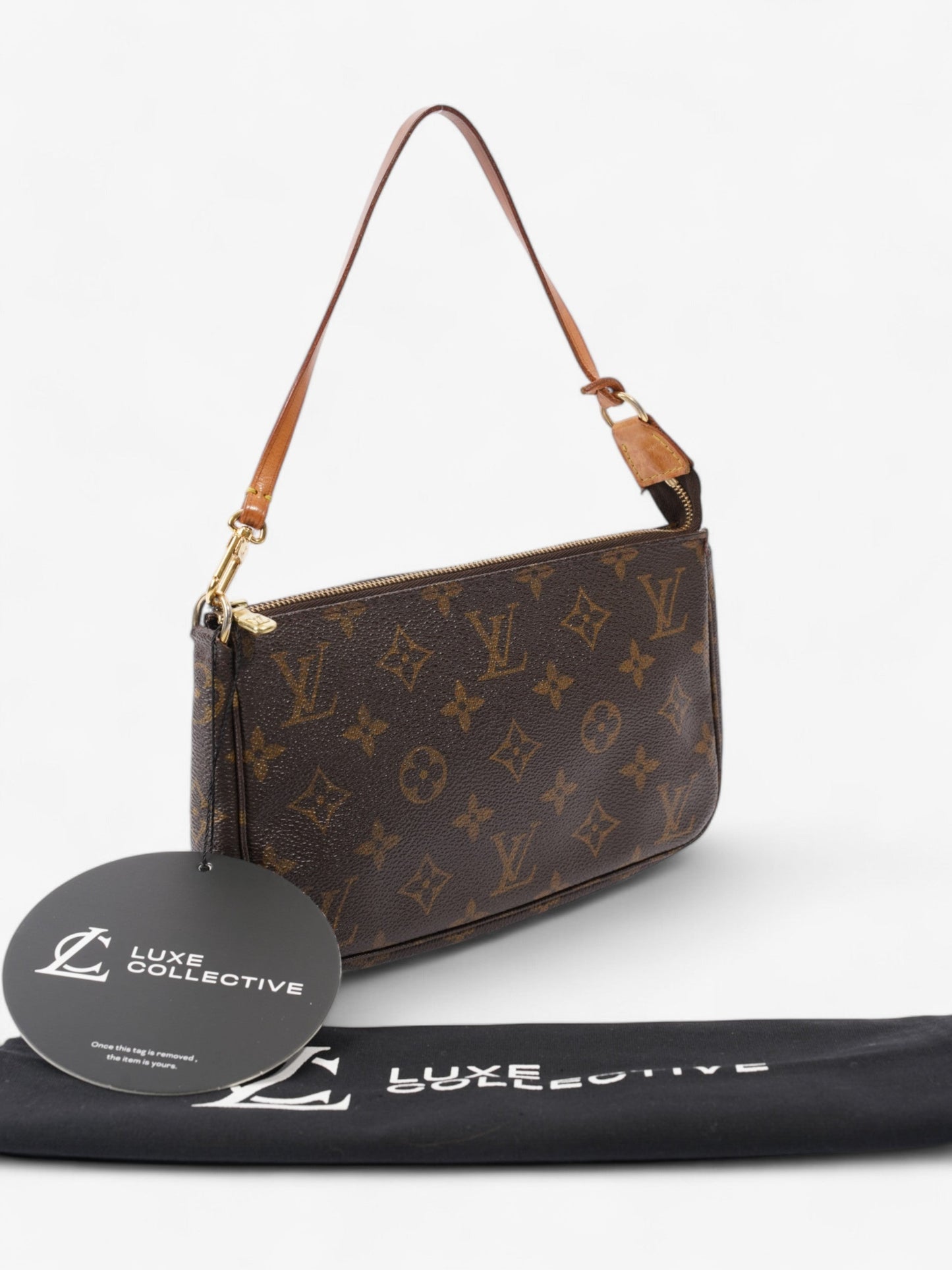 Louis Vuitton Pochette Accessoires Monogram Coated Canvas
