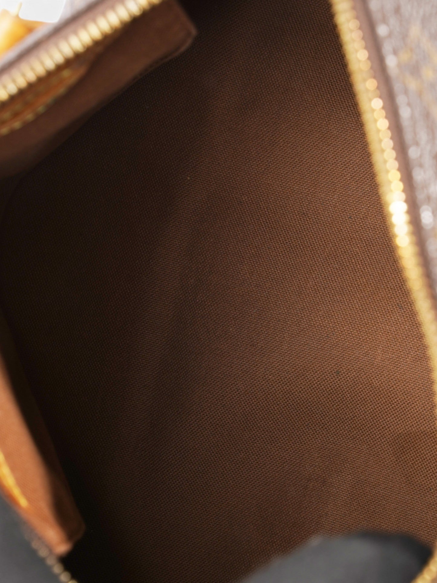 Louis Vuitton Speedy Monogram Coated Canvas 25