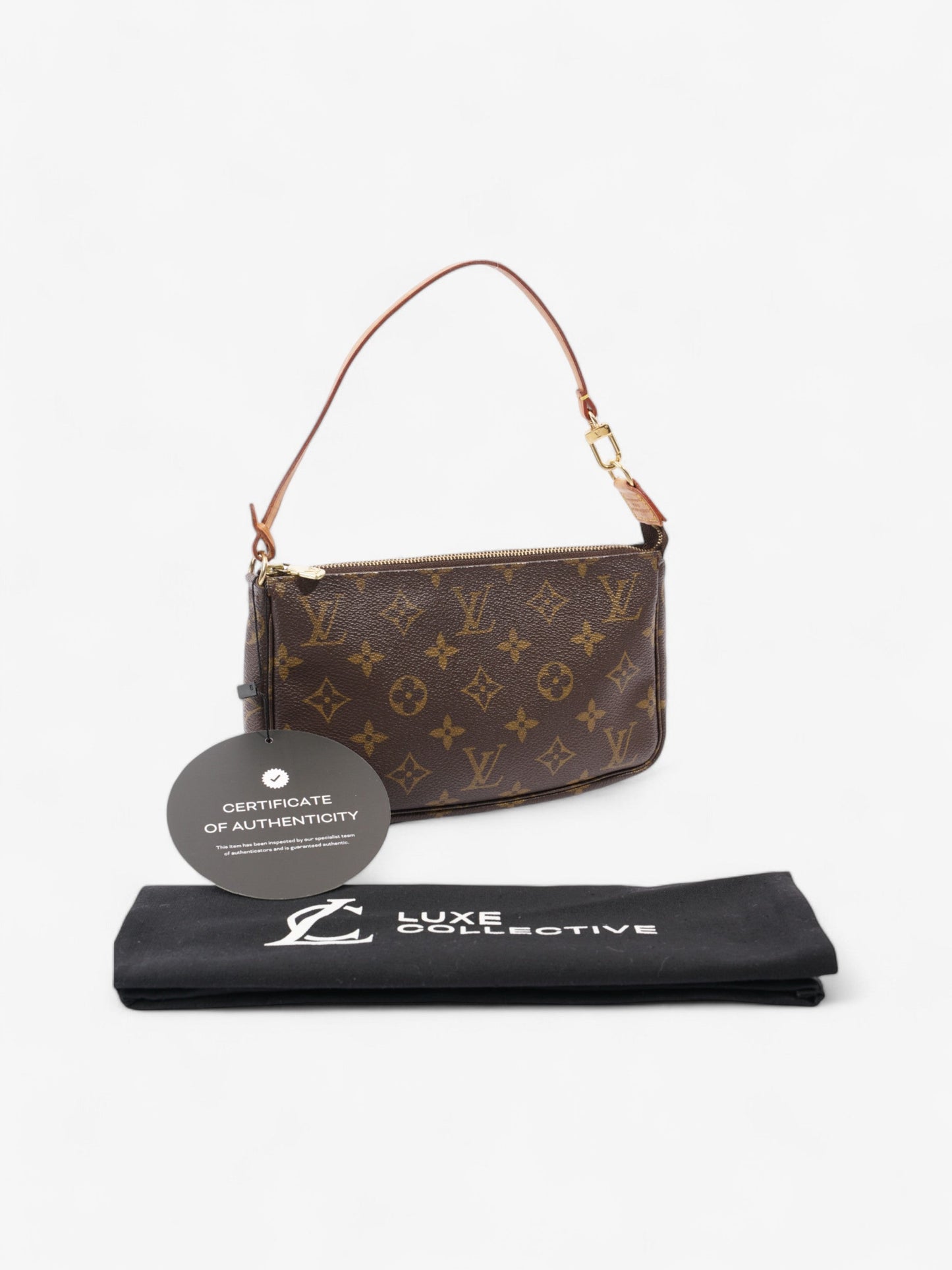 Louis Vuitton Pochette Accessoires Monogram Coated Canvas