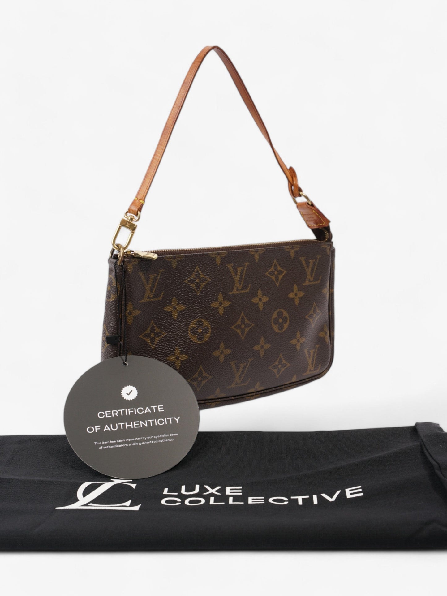 Louis Vuitton Pochette Accessoires Monogram Coated Canvas