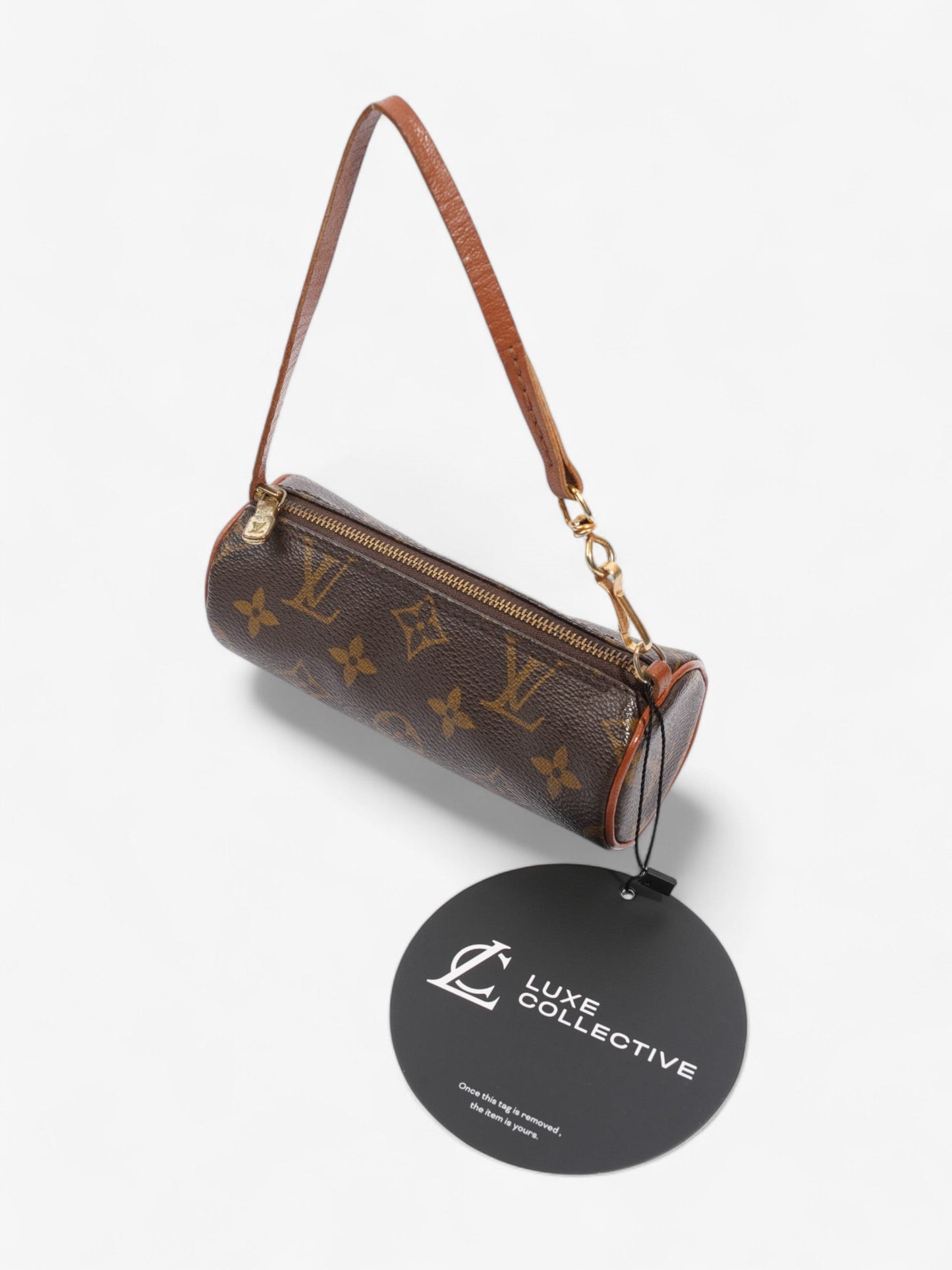 Louis Vuitton Papillon Monogram Coated Canvas Mini