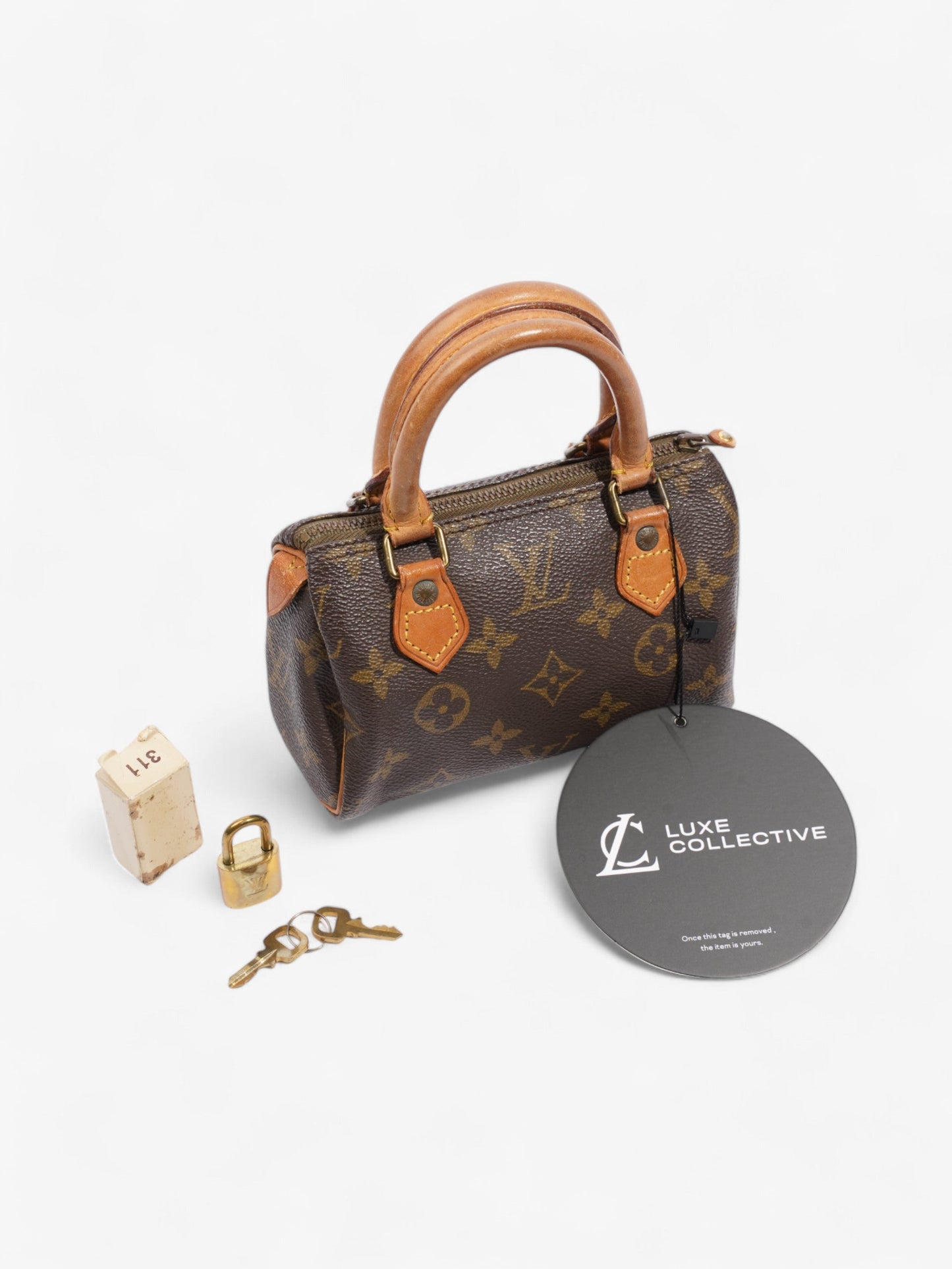 Louis Vuitton Speedy Monogram Coated Canvas Nano