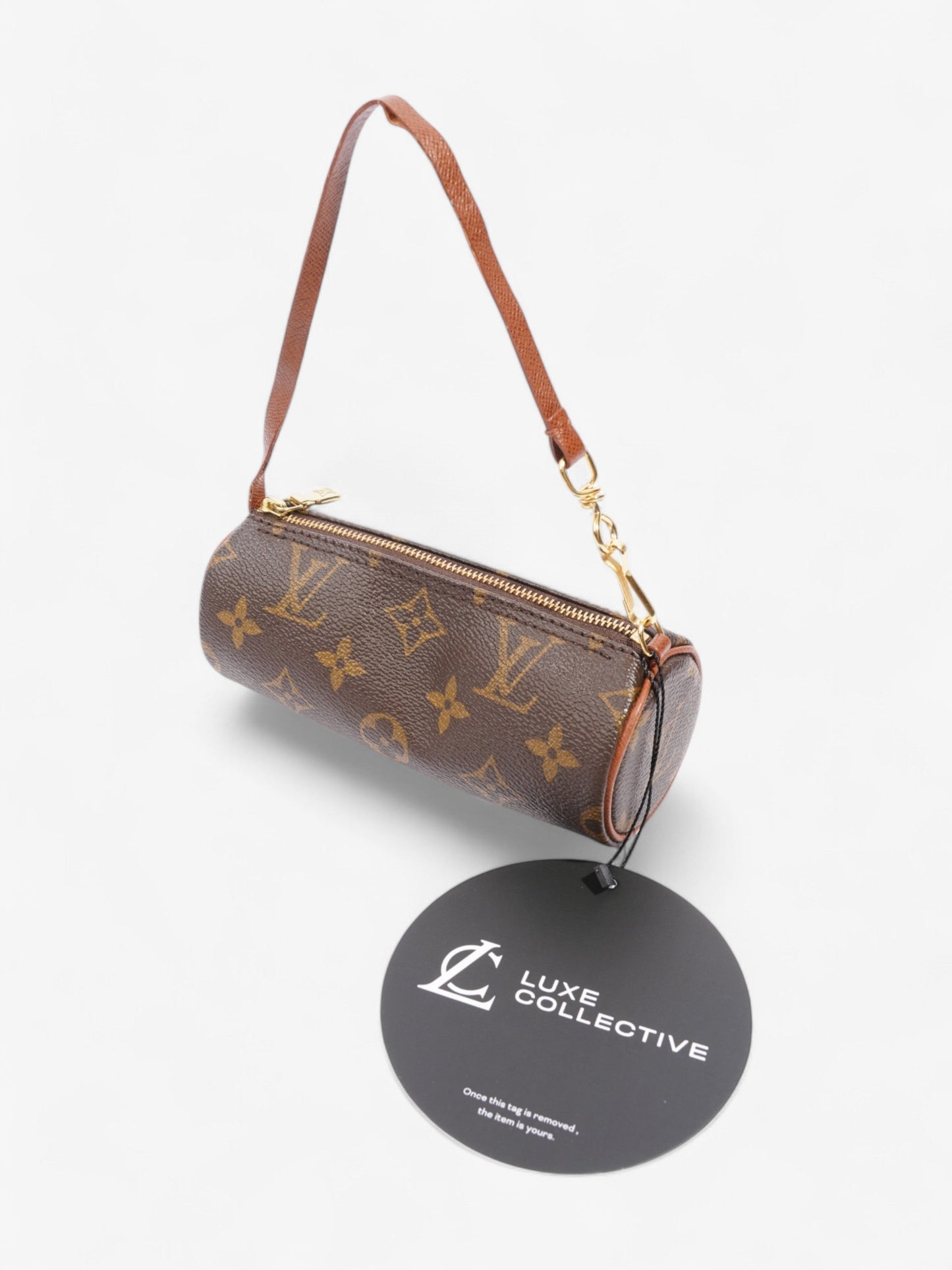 Louis Vuitton Papillon Monogram Coated Canvas Mini