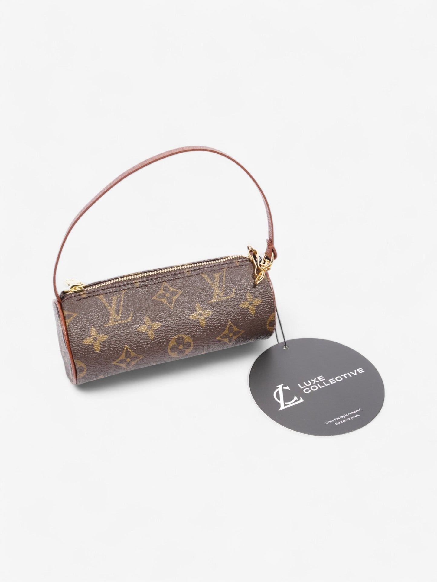 Louis Vuitton Papillon Monogram Coated Canvas Mini