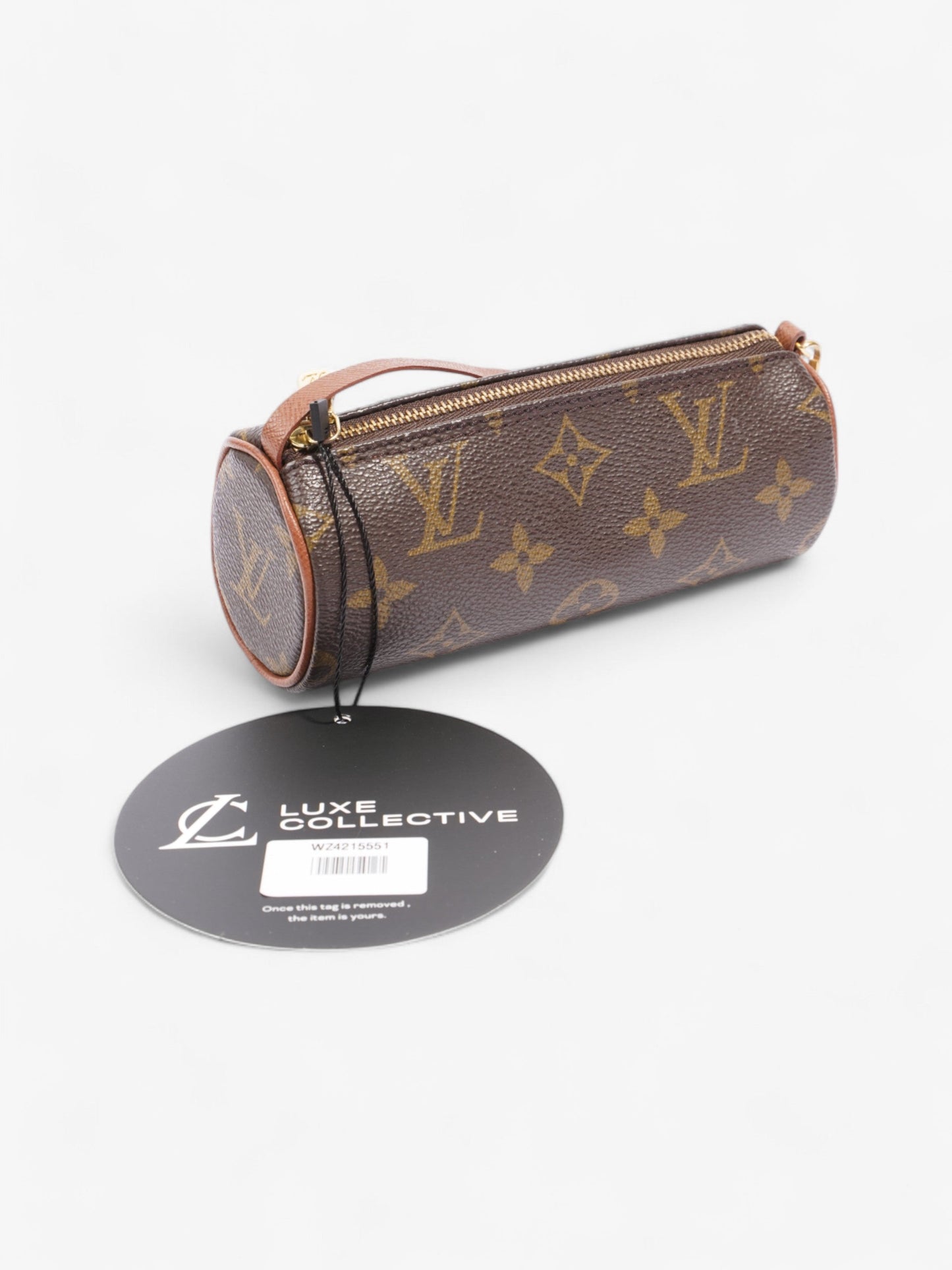 Louis Vuitton Papillon Monogram Coated Canvas Mini