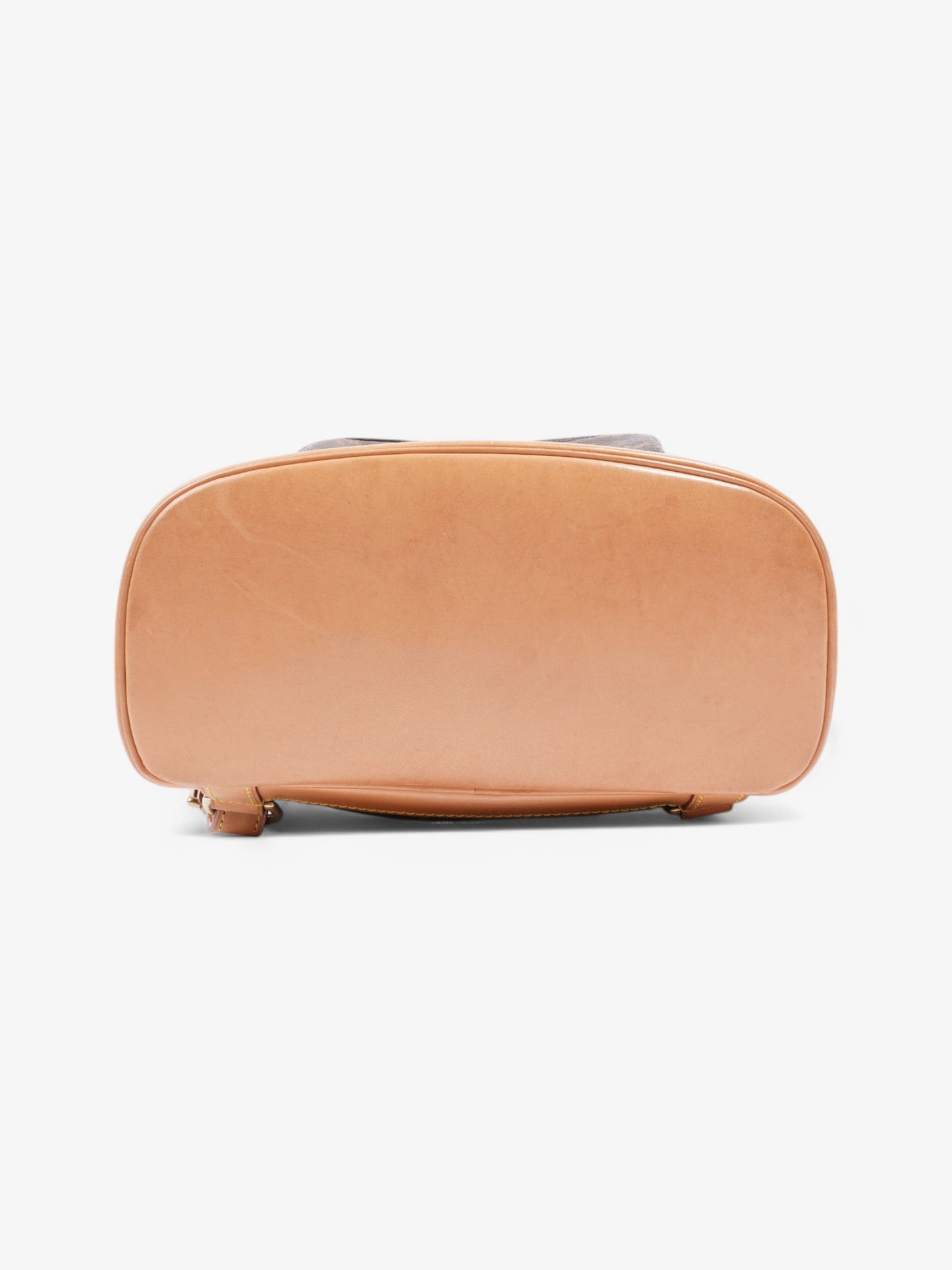 Louis Vuitton Montsouris Monogram Coated Canvas MM