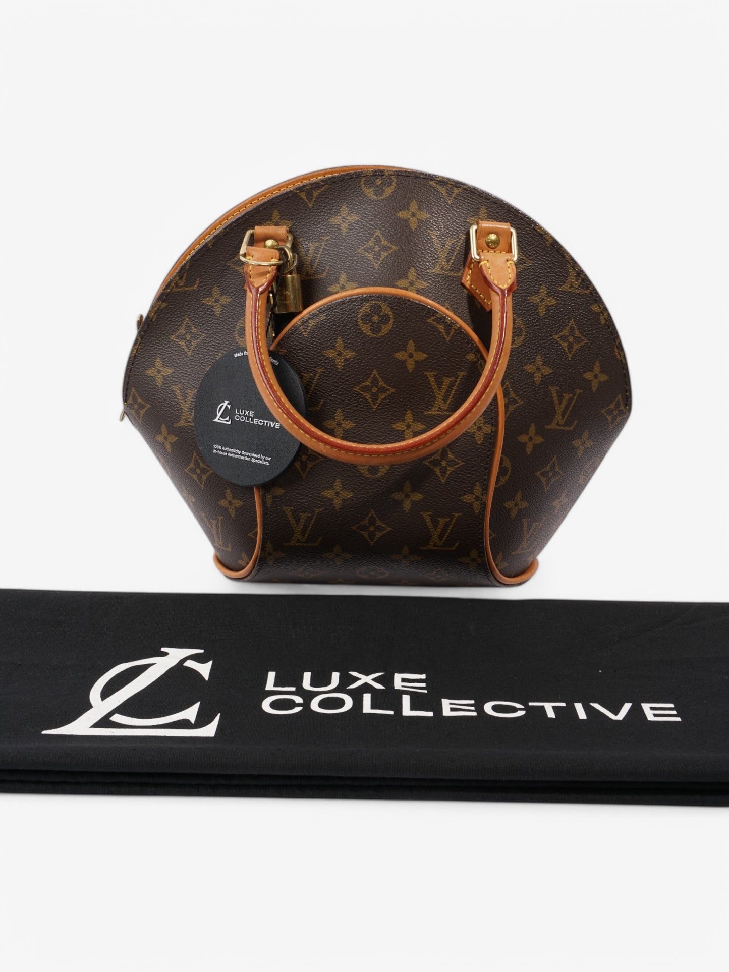 Louis Vuitton Ellipse Monogram Coated Canvas PM