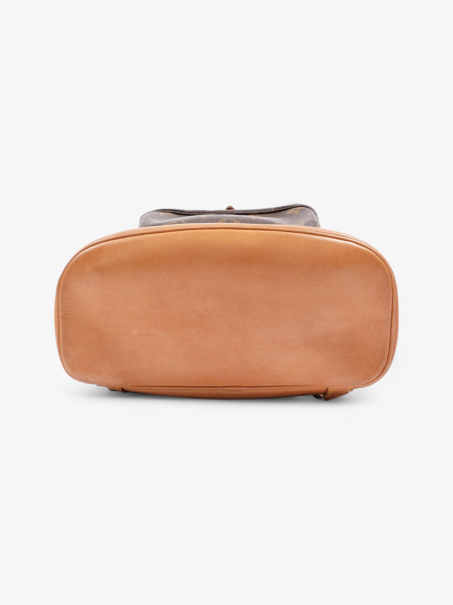 Louis Vuitton Montsouris Monogram Coated Canvas MM