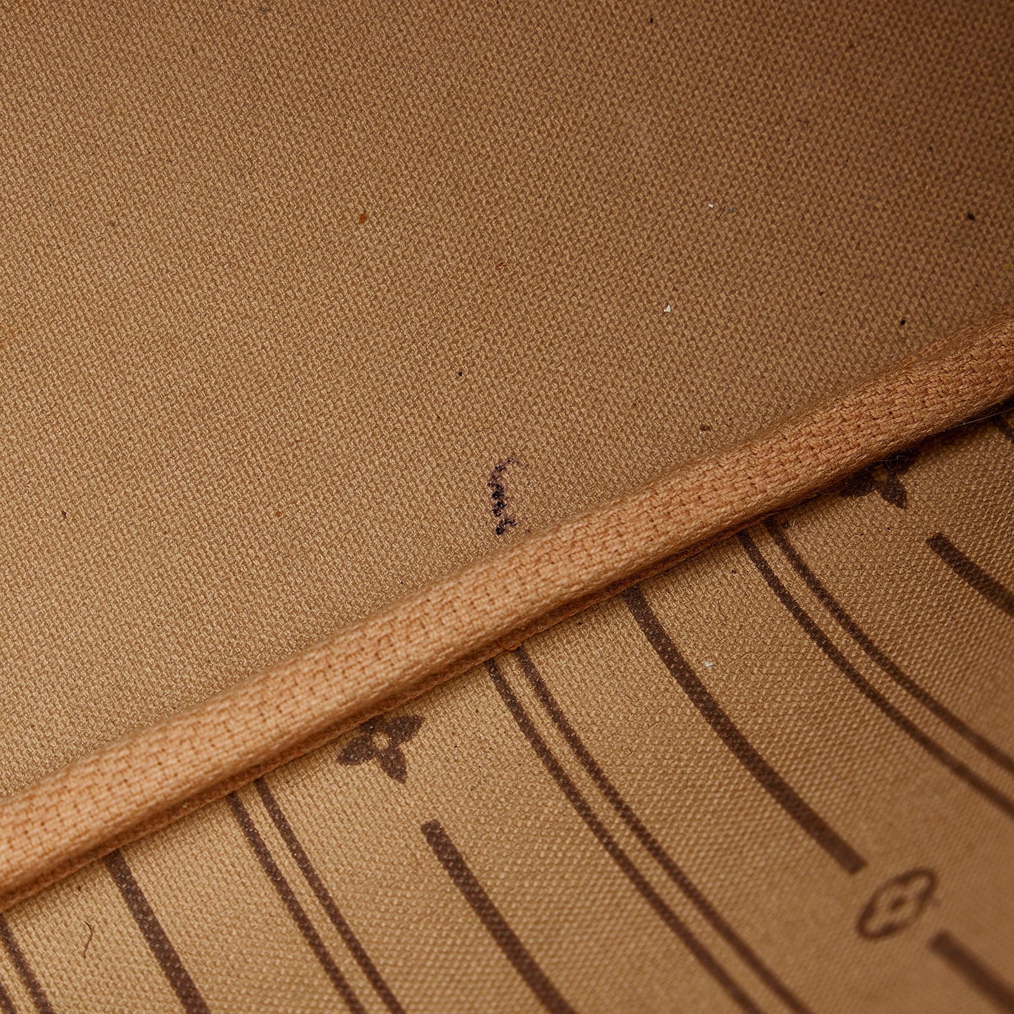 Louis Vuitton Neverfull PM Monogram Canvas