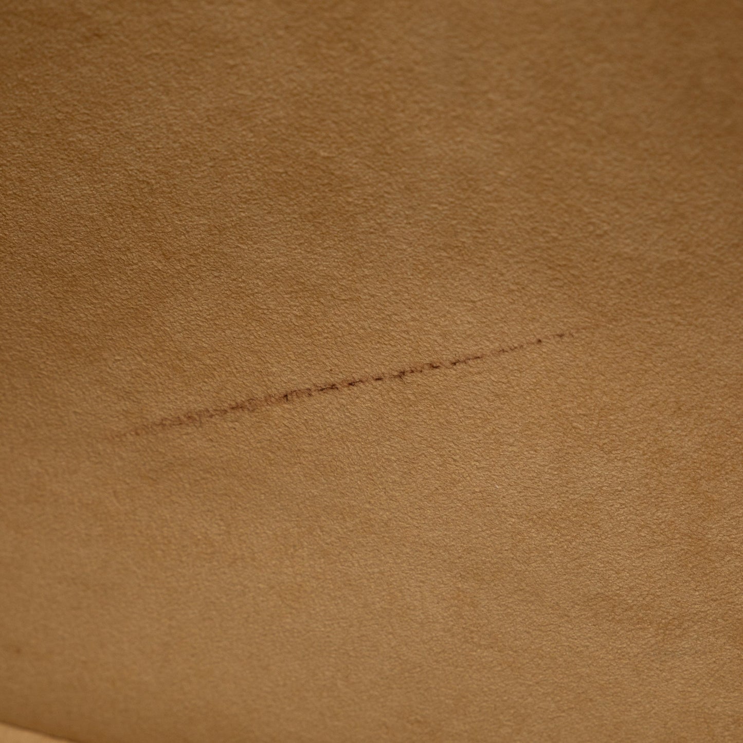 Brown Louis Vuitton Monogram Luco Tote Bag