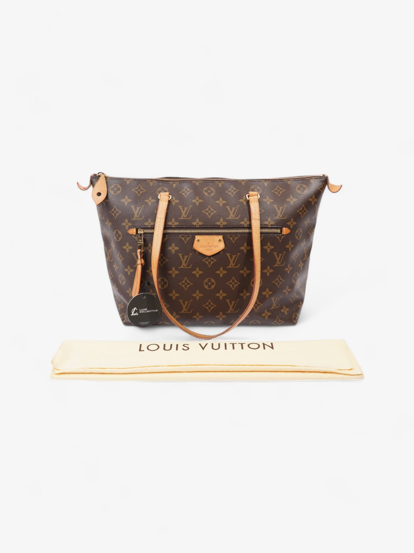 Louis Vuitton Lena Monogram Coated Canvas PM