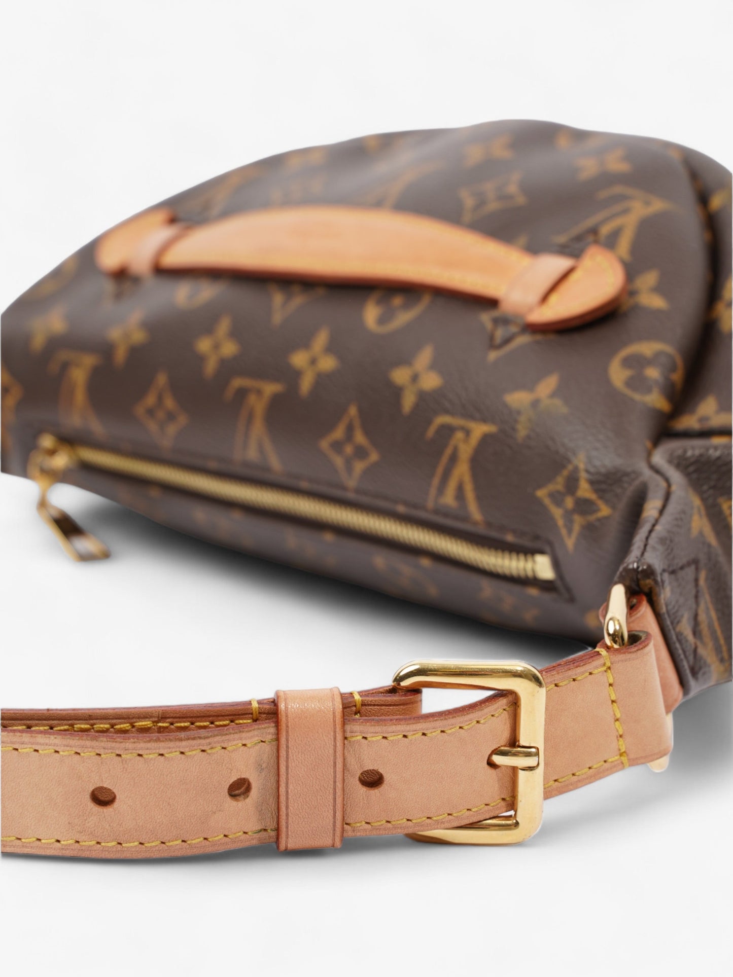 Louis Vuitton Bum Bag Monogram Coated Canvas