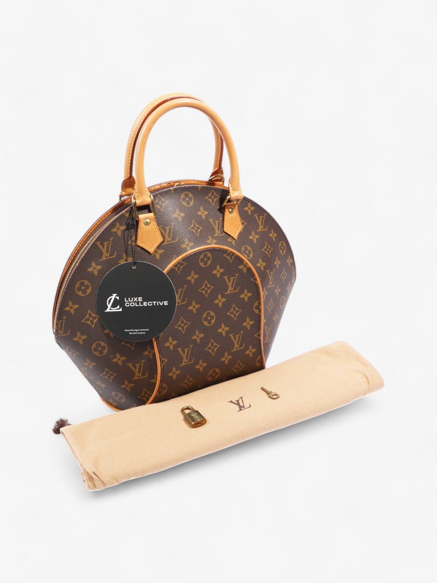 Louis Vuitton Ellipse  Monogram Coated Canvas MM