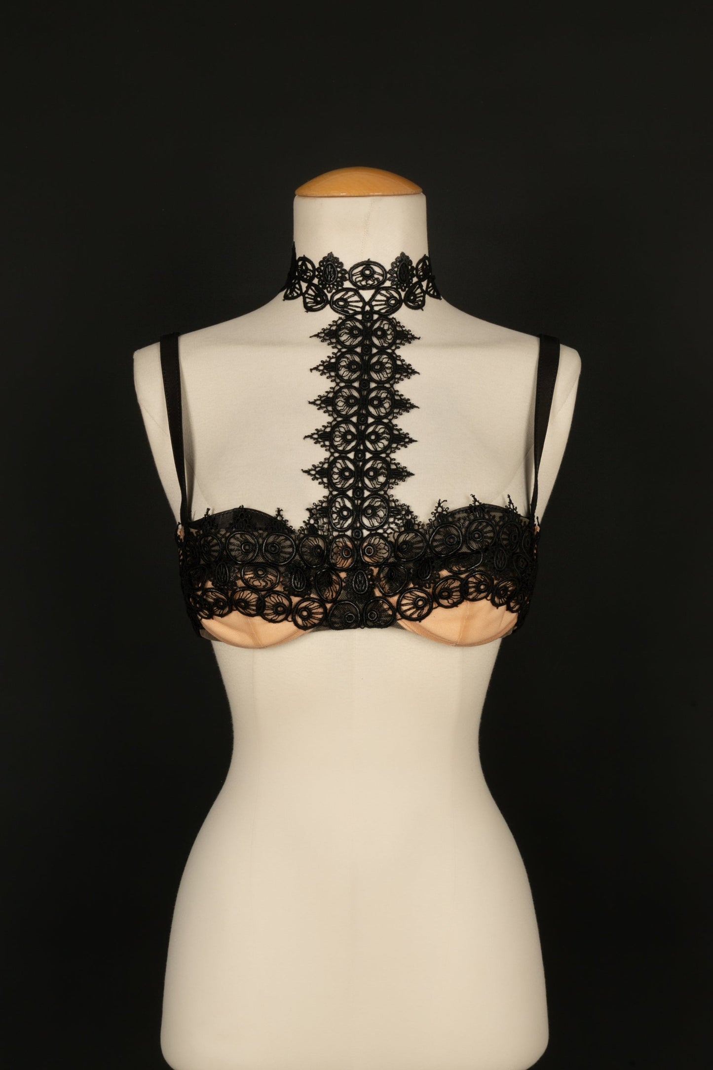 Ensemble Alexander Mc Queen Hiver 2015