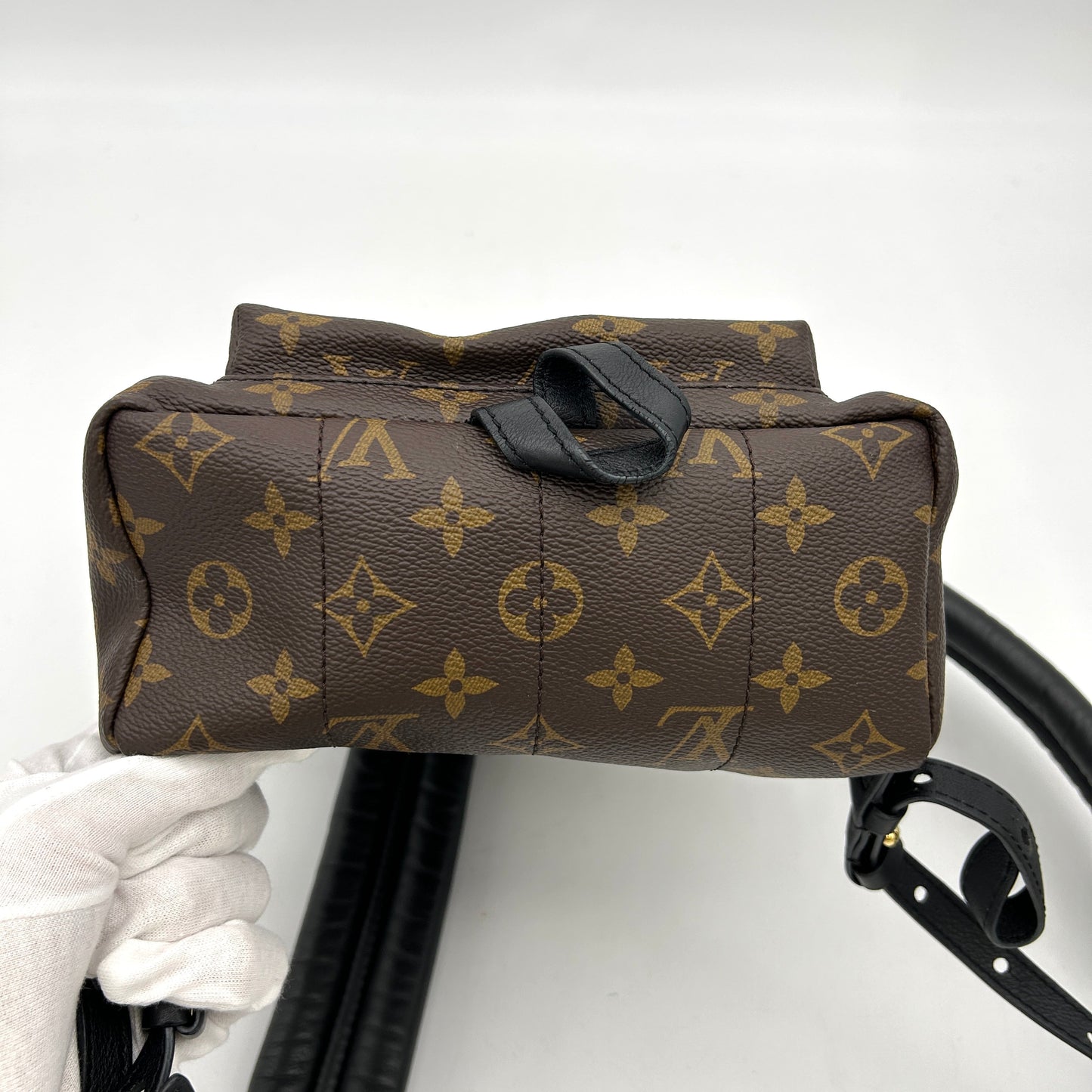 LOUIS VUITTON Monogram Palm Springs PM Backpack LA29433