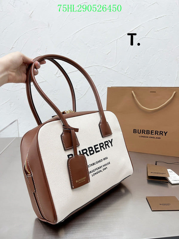Fan Fashion -GLM - Top quality BBR Bags - 288